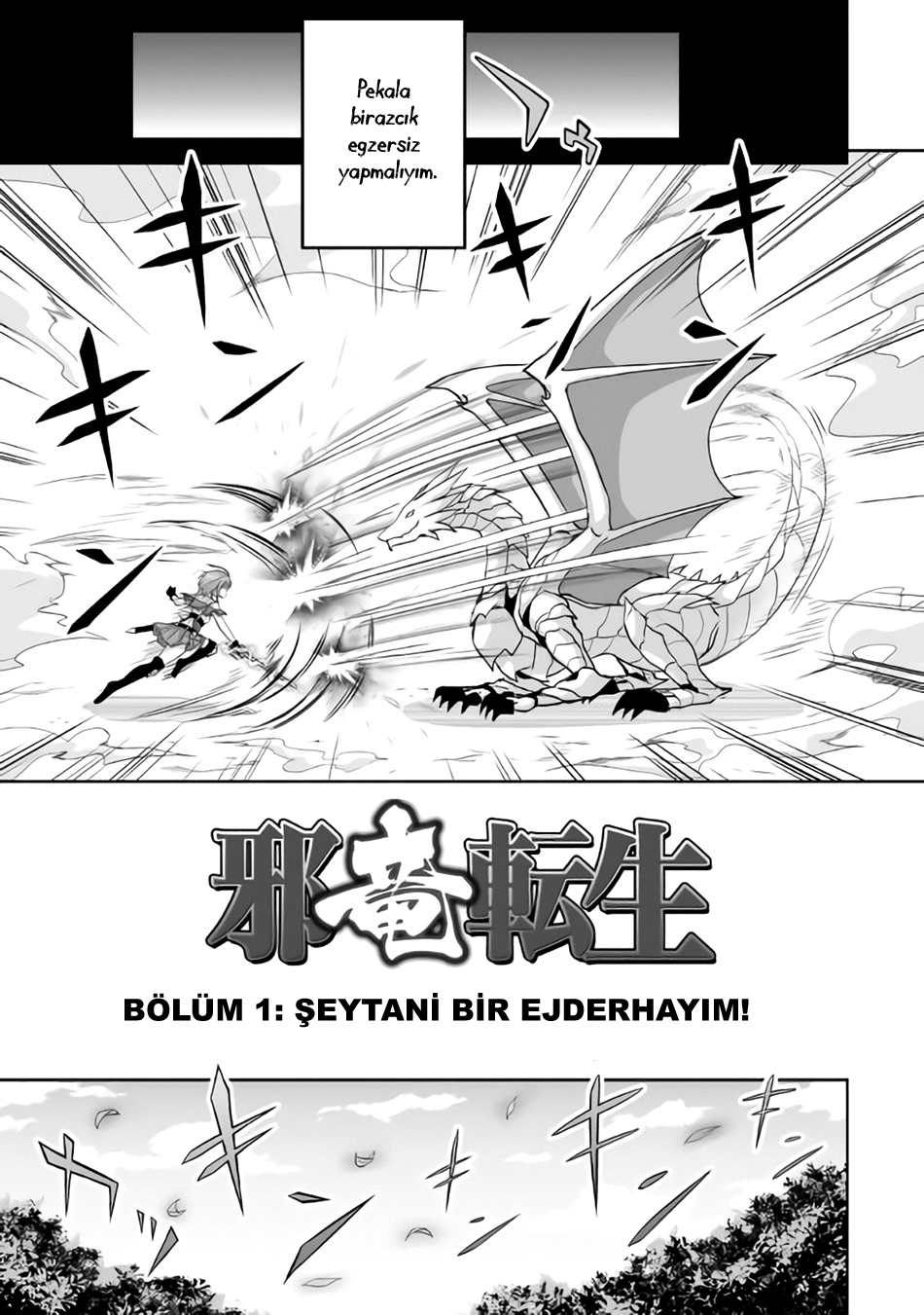 The Reincarnated Evil Dragon Vol. 1 Ch. 1 第6页