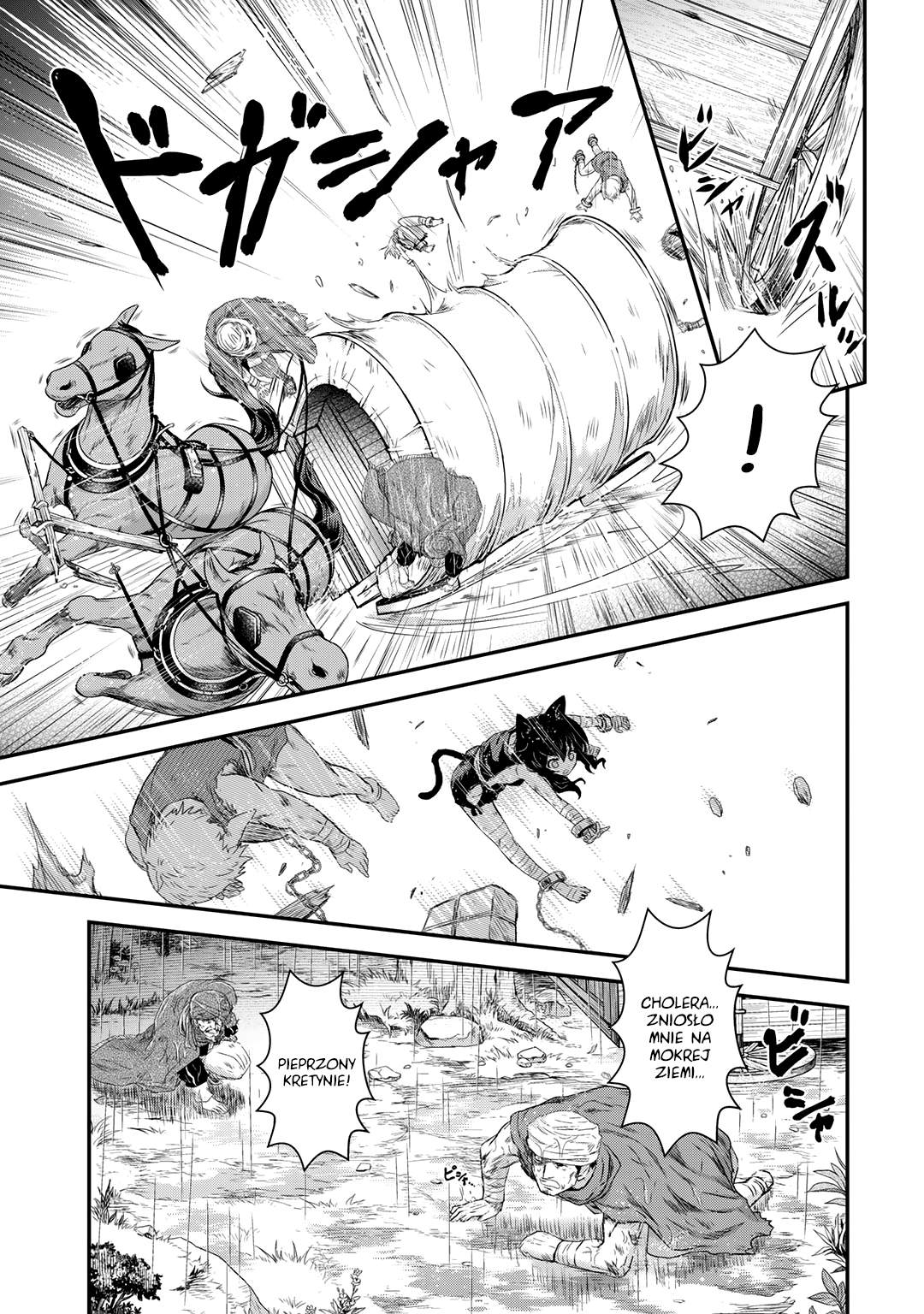 Tensei Shitara Ken deshita Bezimienny czarny kot 第13页