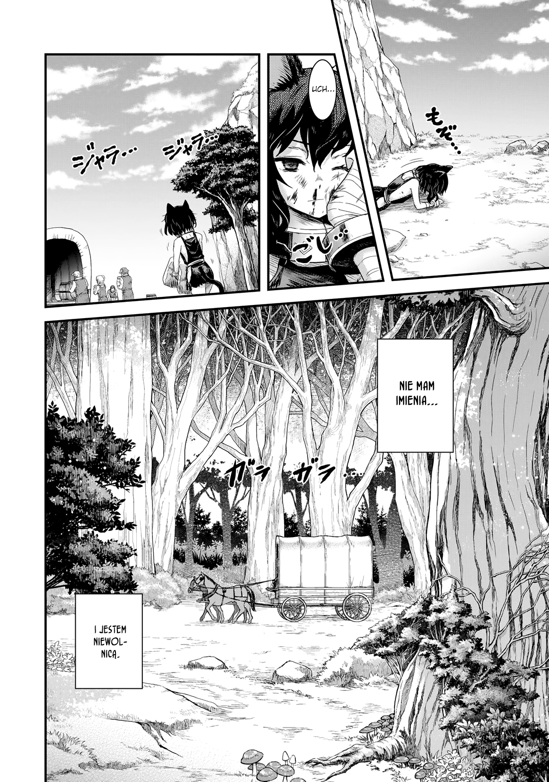 Tensei Shitara Ken deshita Bezimienny czarny kot 第6页