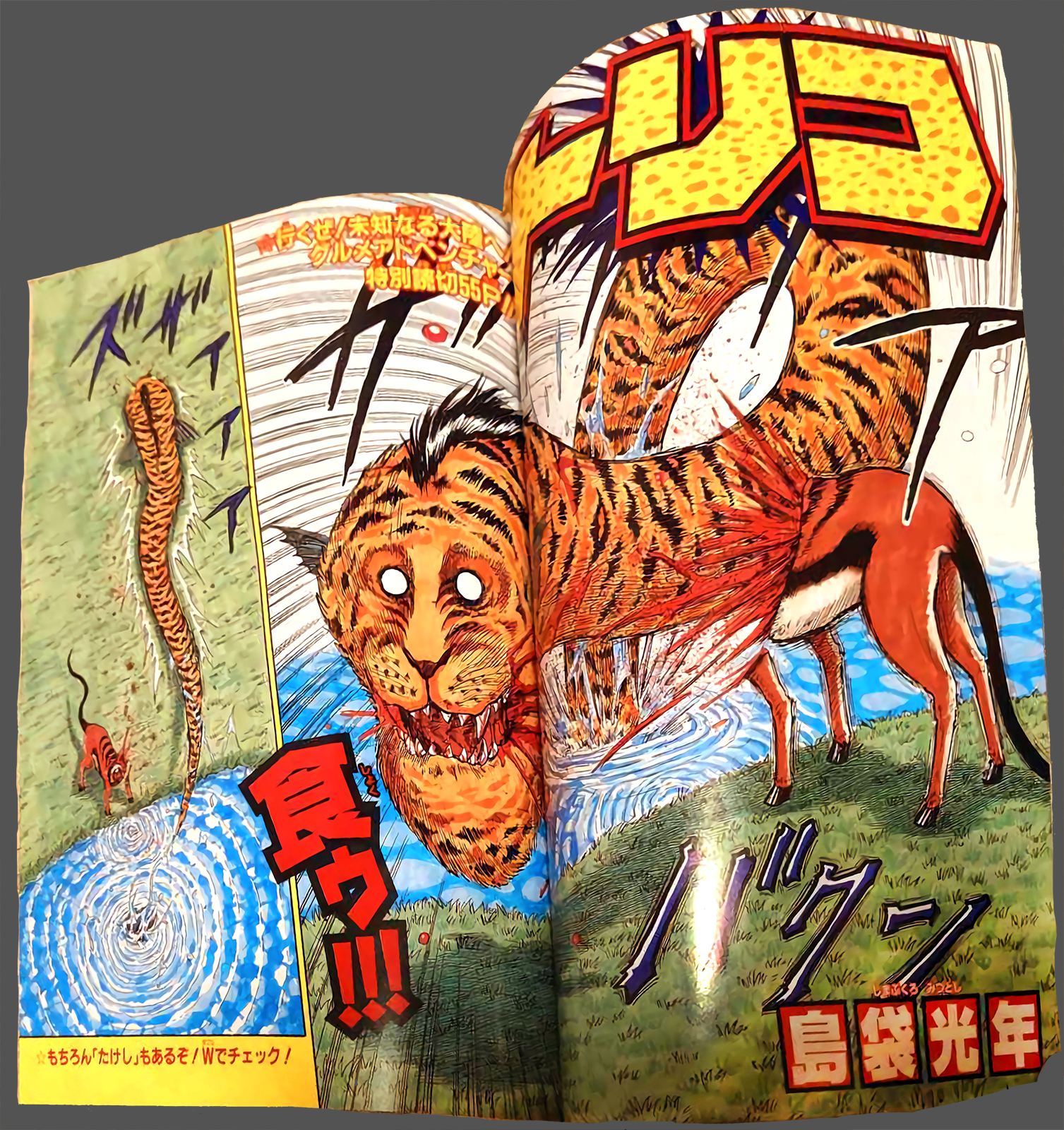 Toriko (2002) (Pre-serialization) Oneshot 第10页