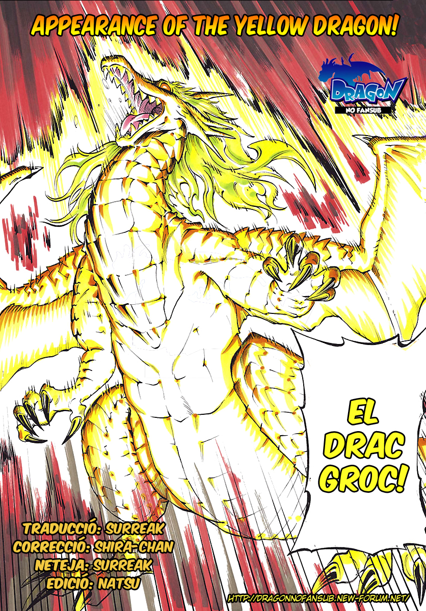 Appearance of the Yellow Dragon! L'aparició de la Kimidori!! 第29页