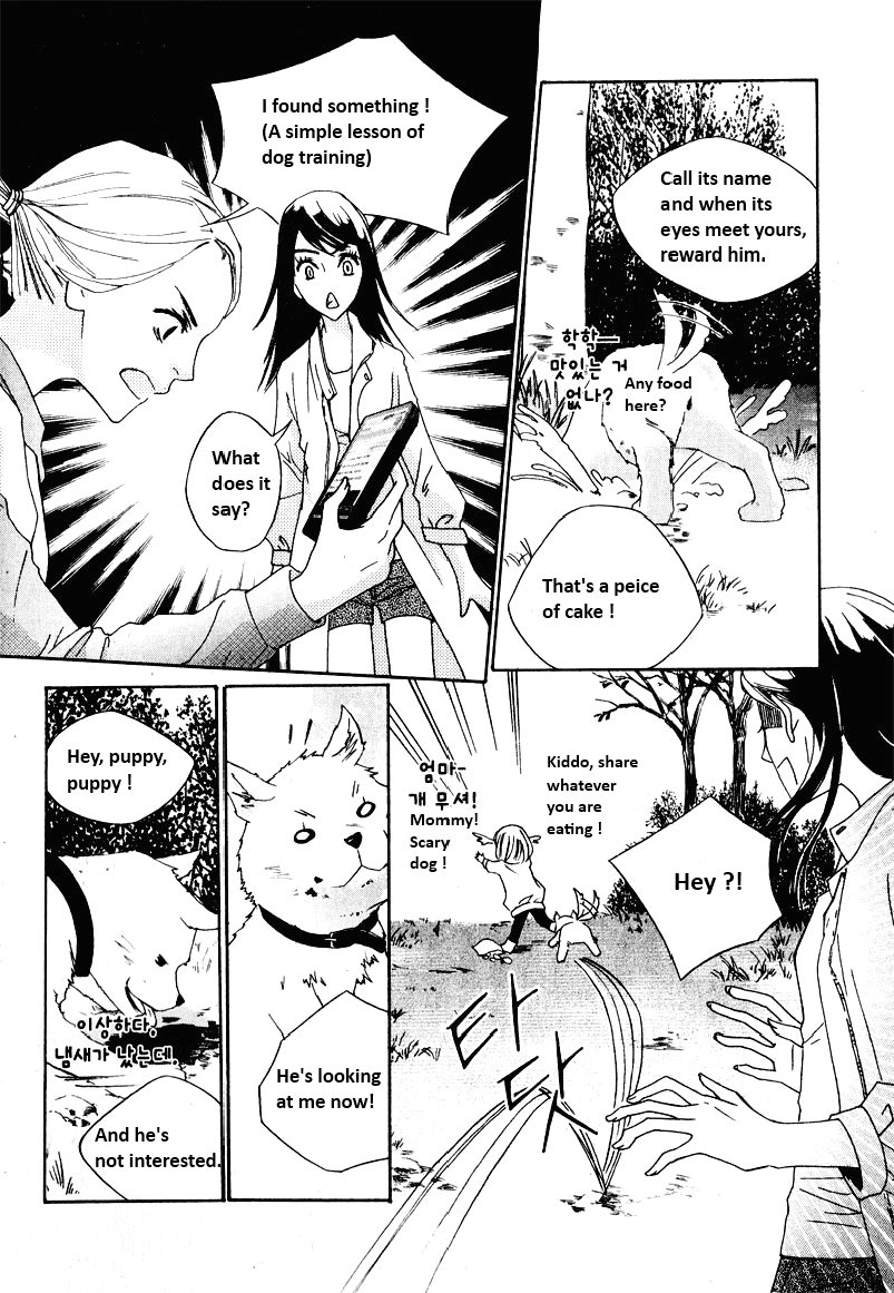 Is Your Dog Safe Now? 第4页