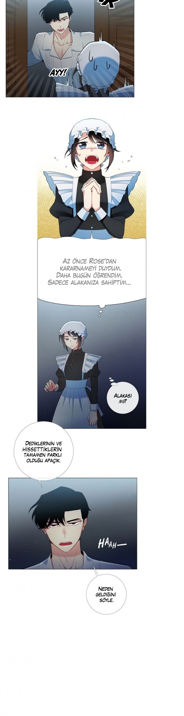 The Maid and the Vampire Ch. 4 第29页