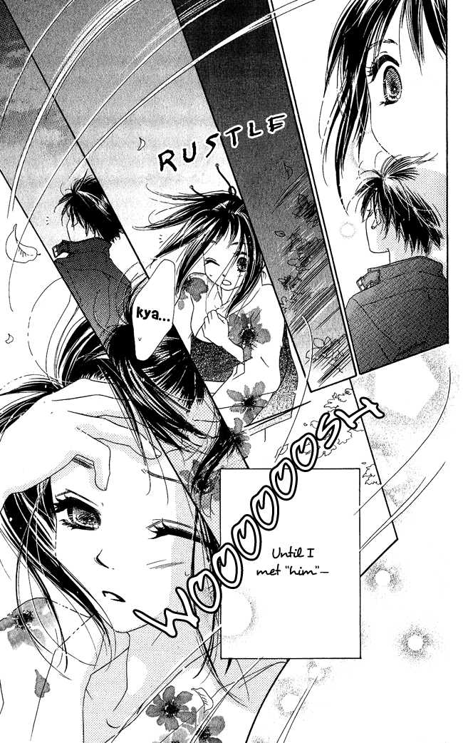 Kiss/Hug Cornus Florida 第17页
