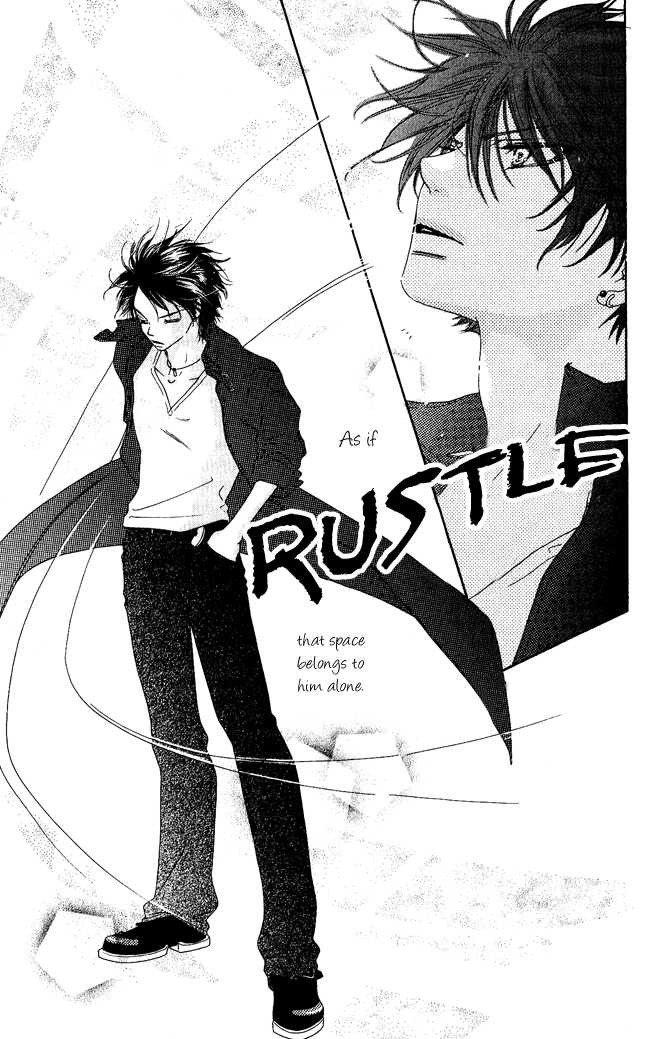 Kiss/Hug Cornus Florida 第20页