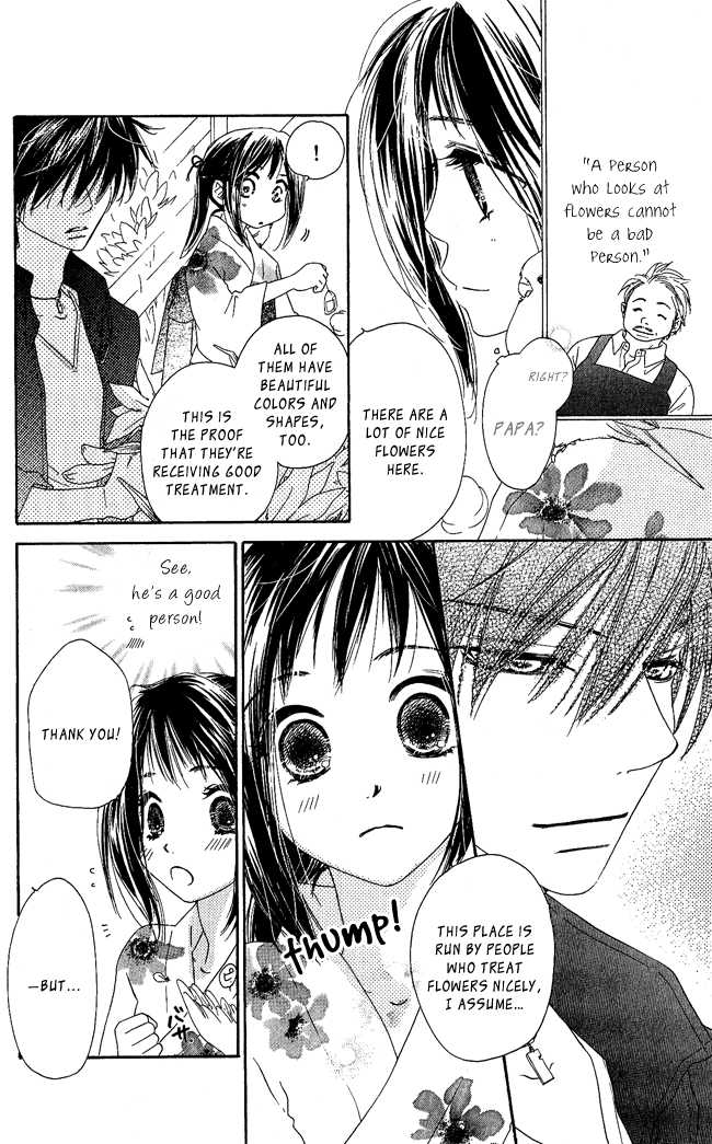 Kiss/Hug Cornus Florida 第29页