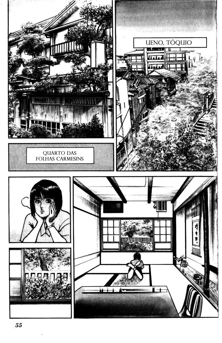 Mai Anexo da Flores de Cerejeira 第11页