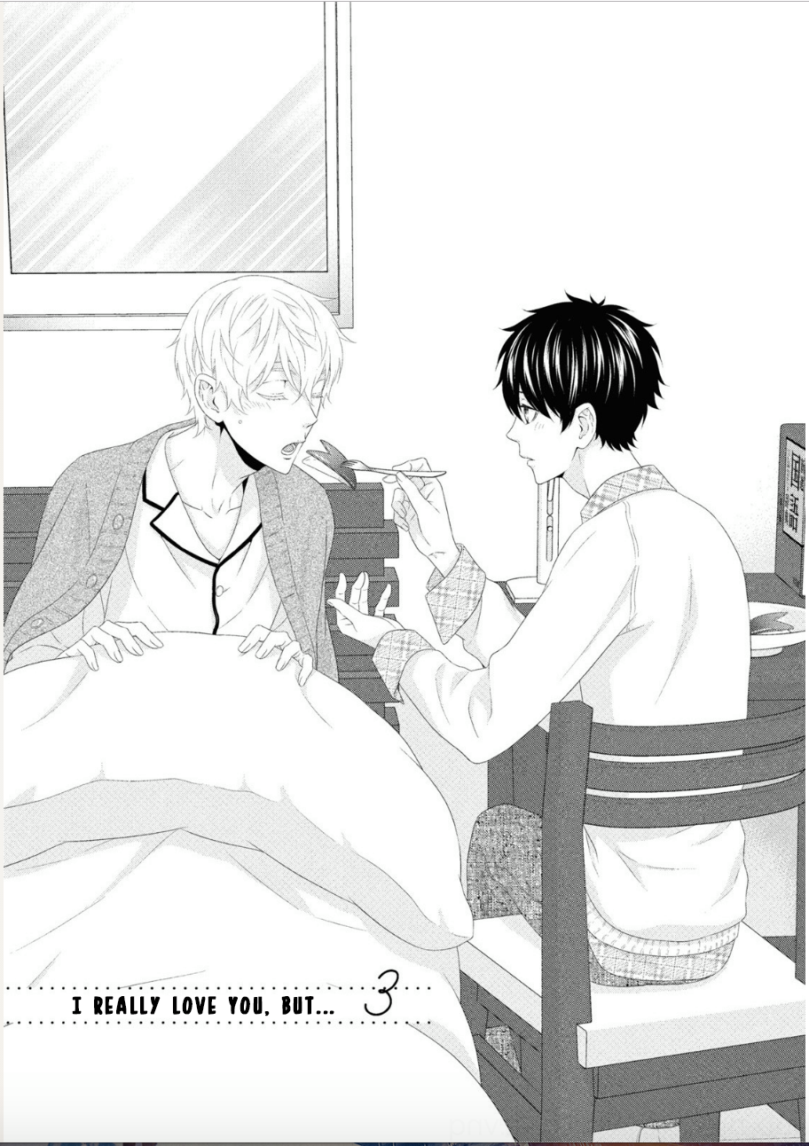 Hontou wa Suki na no ni Ch. 3 第2页