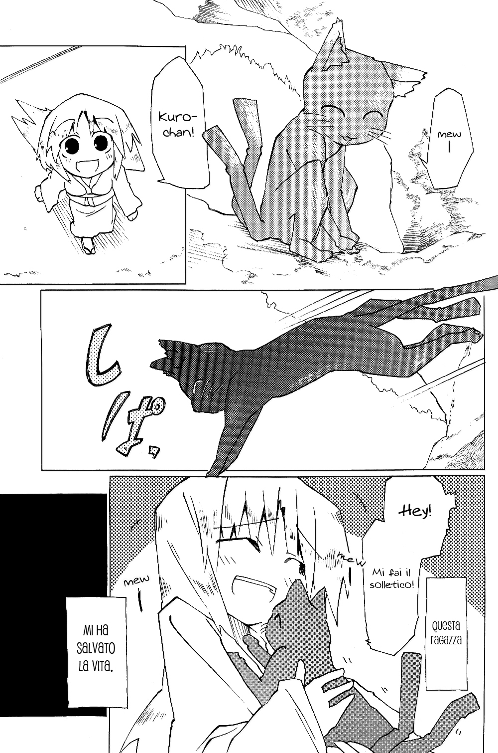 Touhou - Neko (Doujinshi) Oneshot 第12页