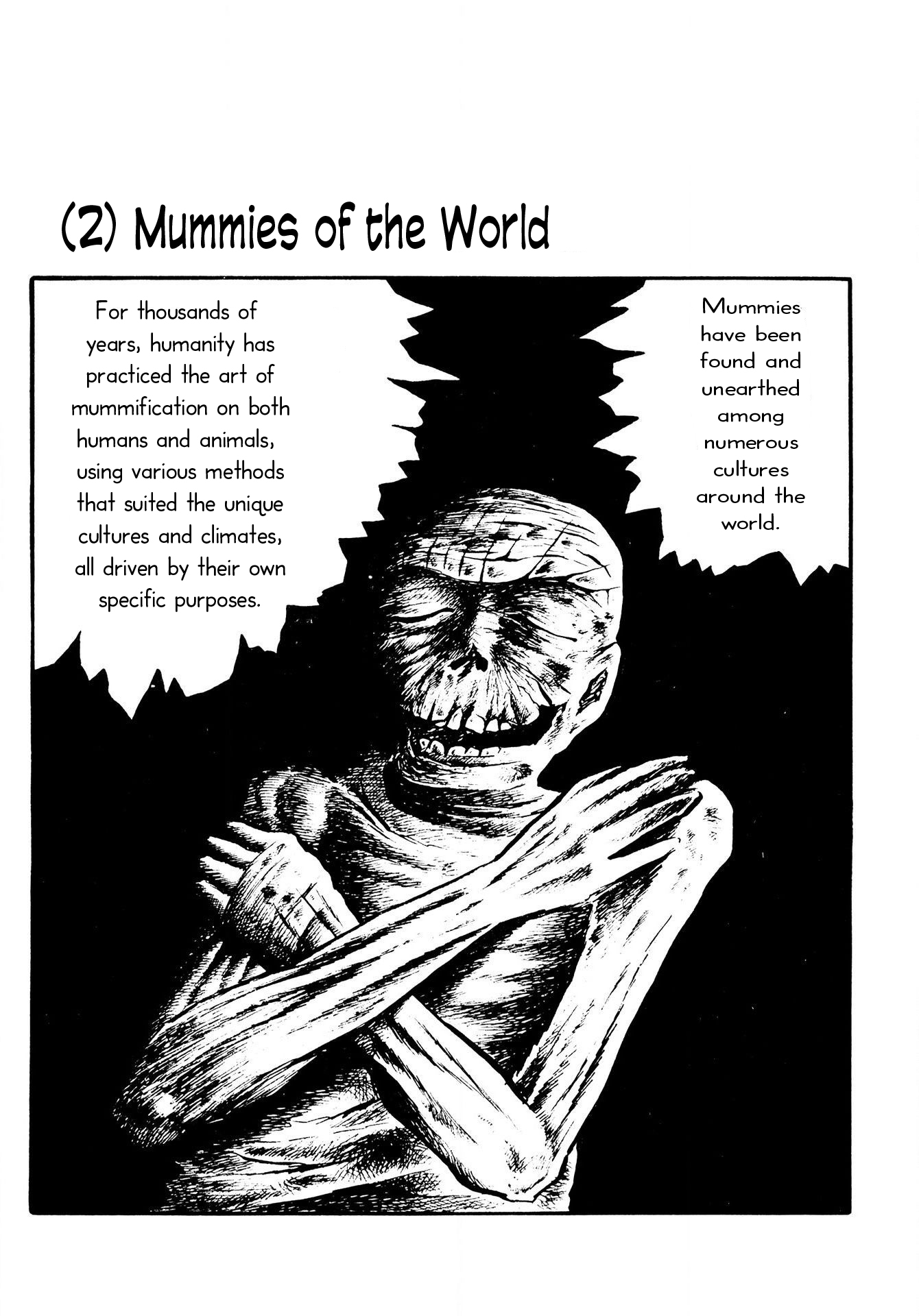 The Mummy's Demon Realm Mummies of the World 第1页
