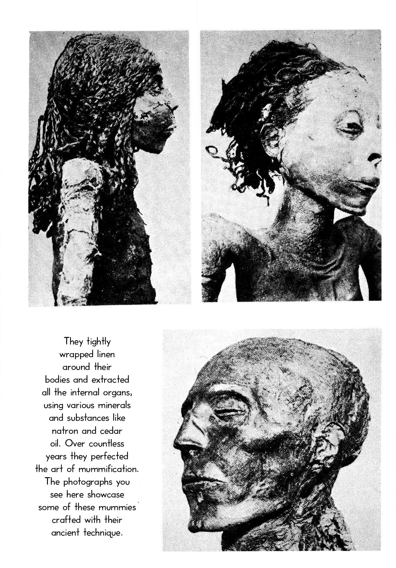 The Mummy's Demon Realm Mummies of the World 第4页