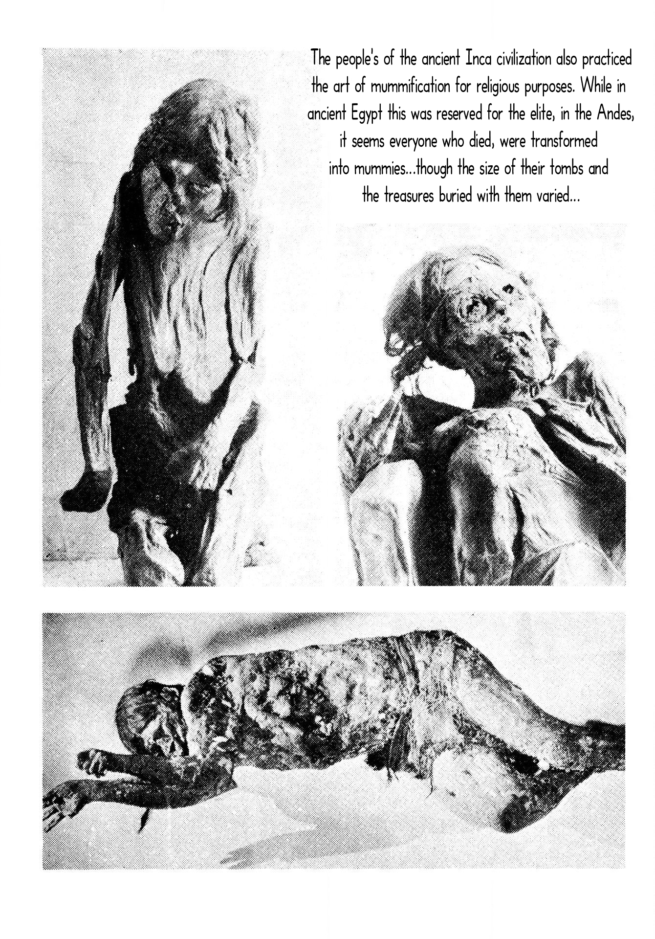 The Mummy's Demon Realm Mummies of the World 第8页