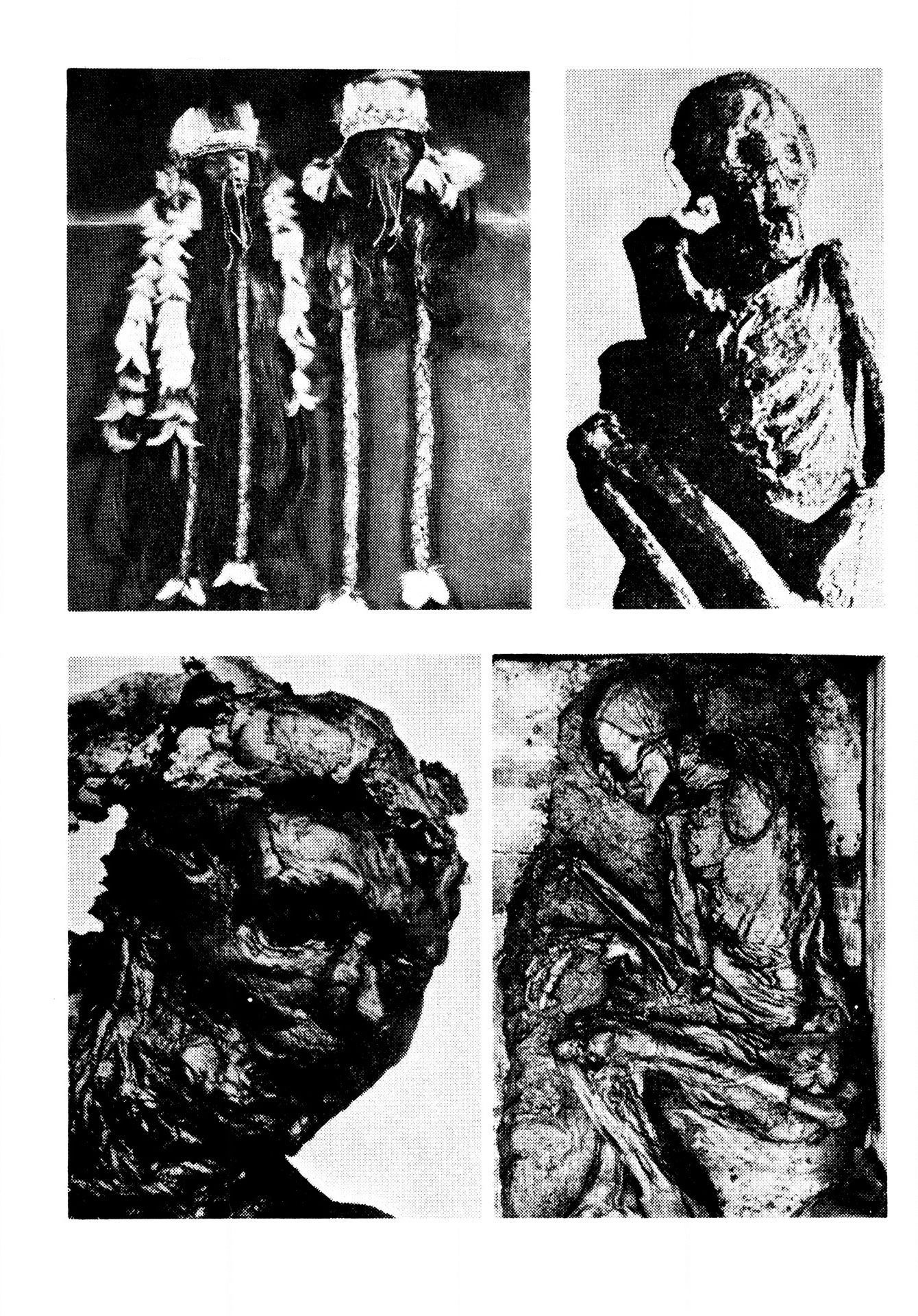 The Mummy's Demon Realm Mummies of the World 第10页