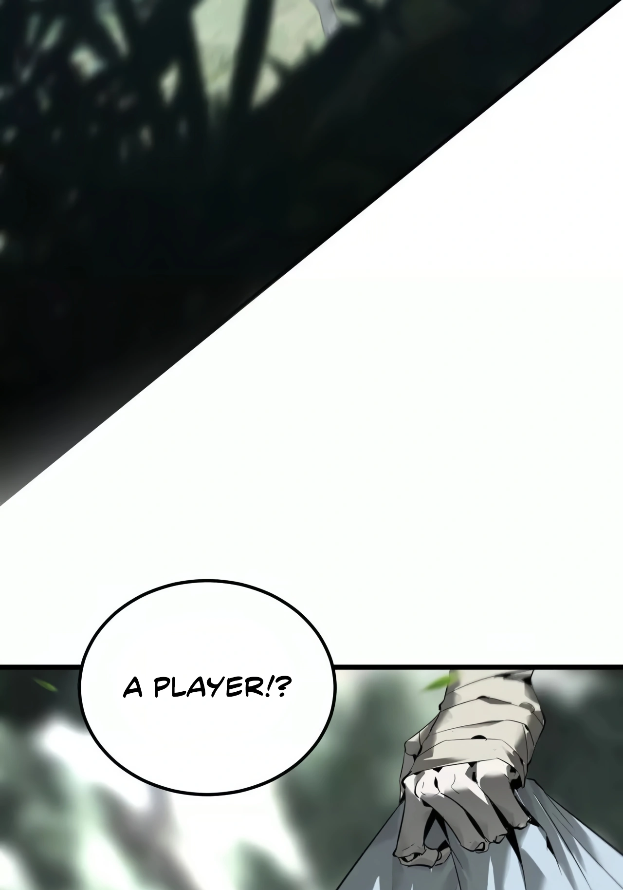 Online Game: Champion Ch. 3 第115页
