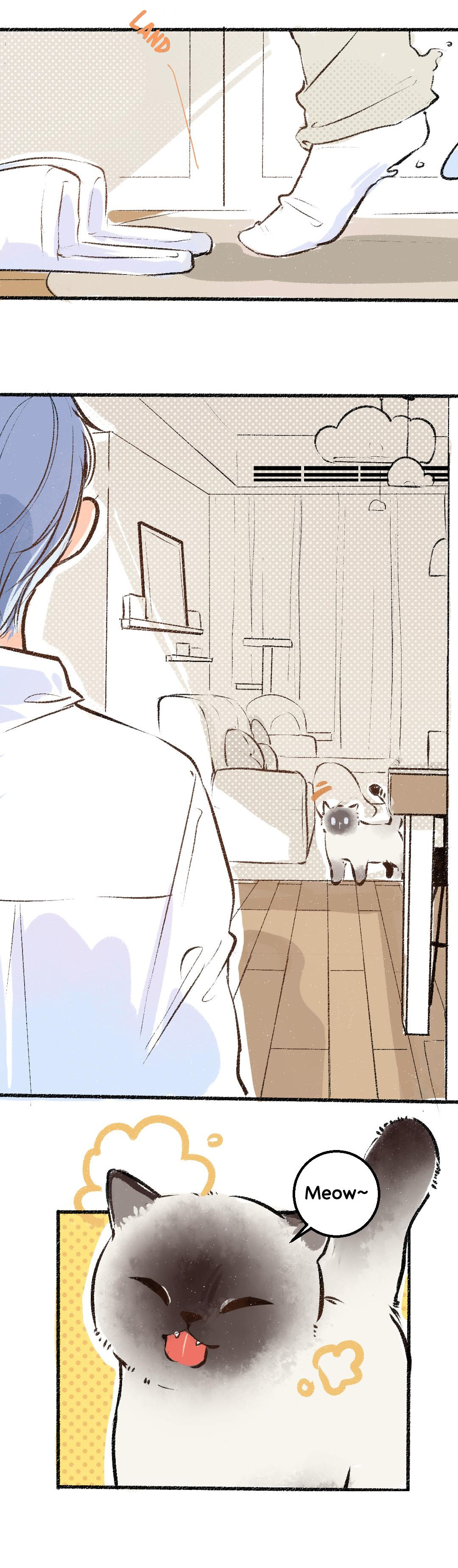 A God's Invitation to Eat A God's Vacation 第11页