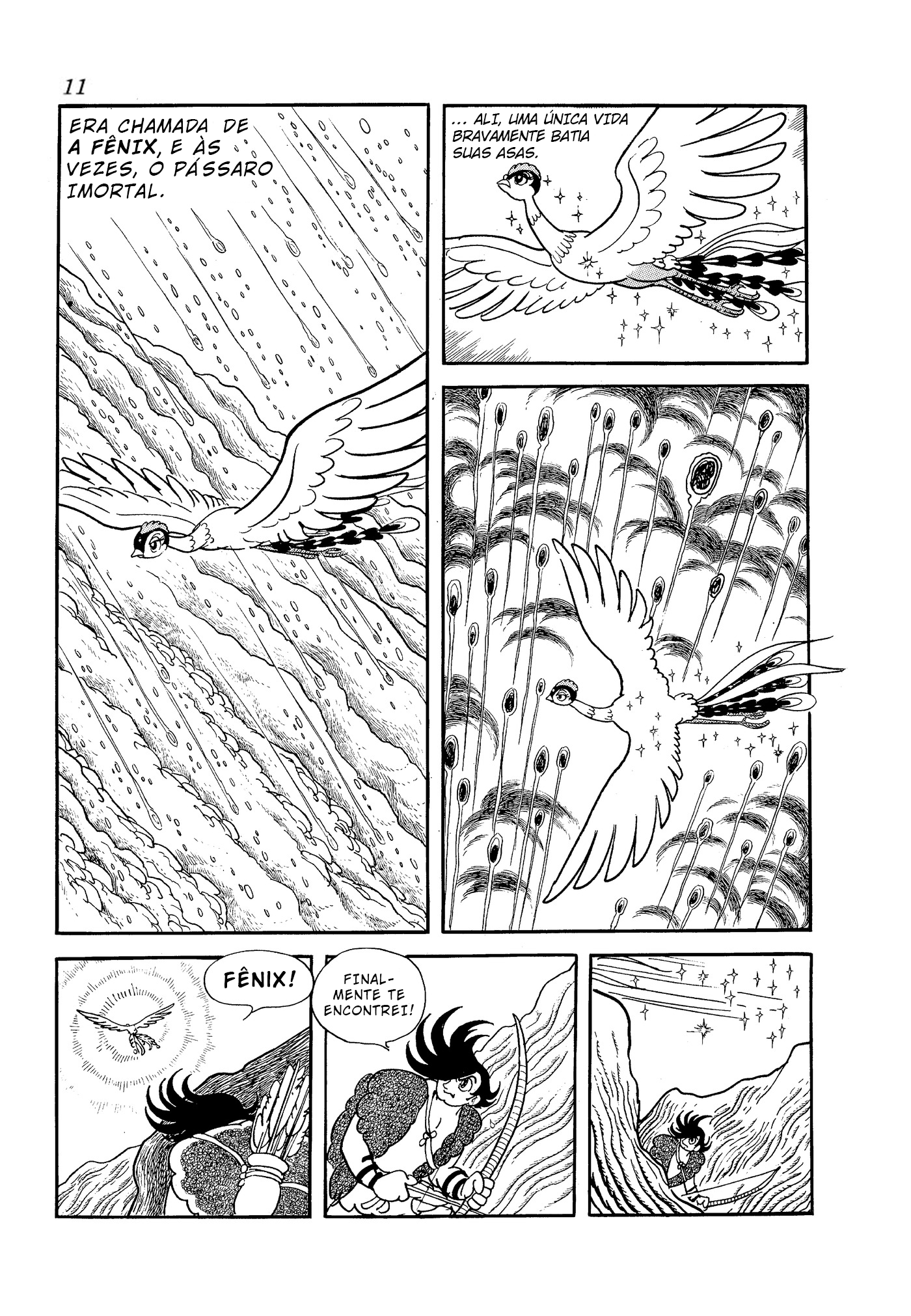 Phoenix O Amanhecer 第12页