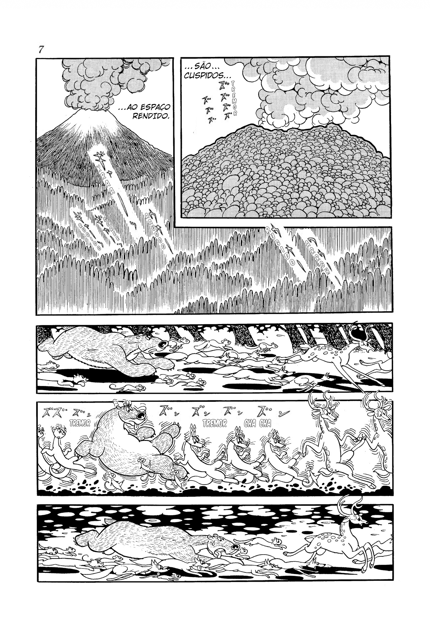 Phoenix 第8页