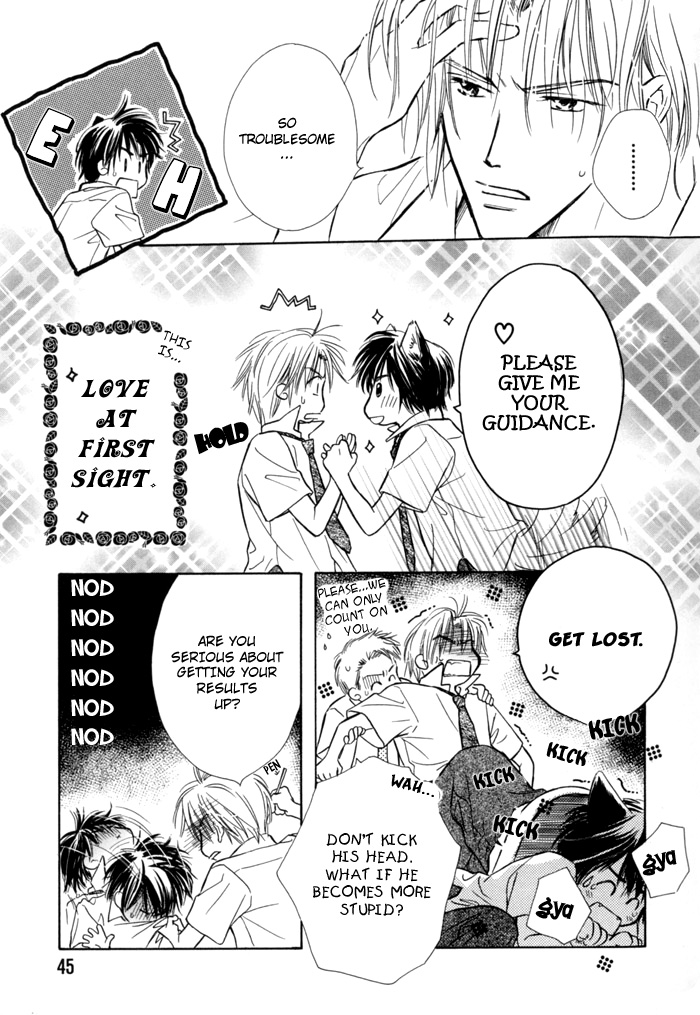 Pochi no Shiawase Vol. 1 Ch. 3 第11页