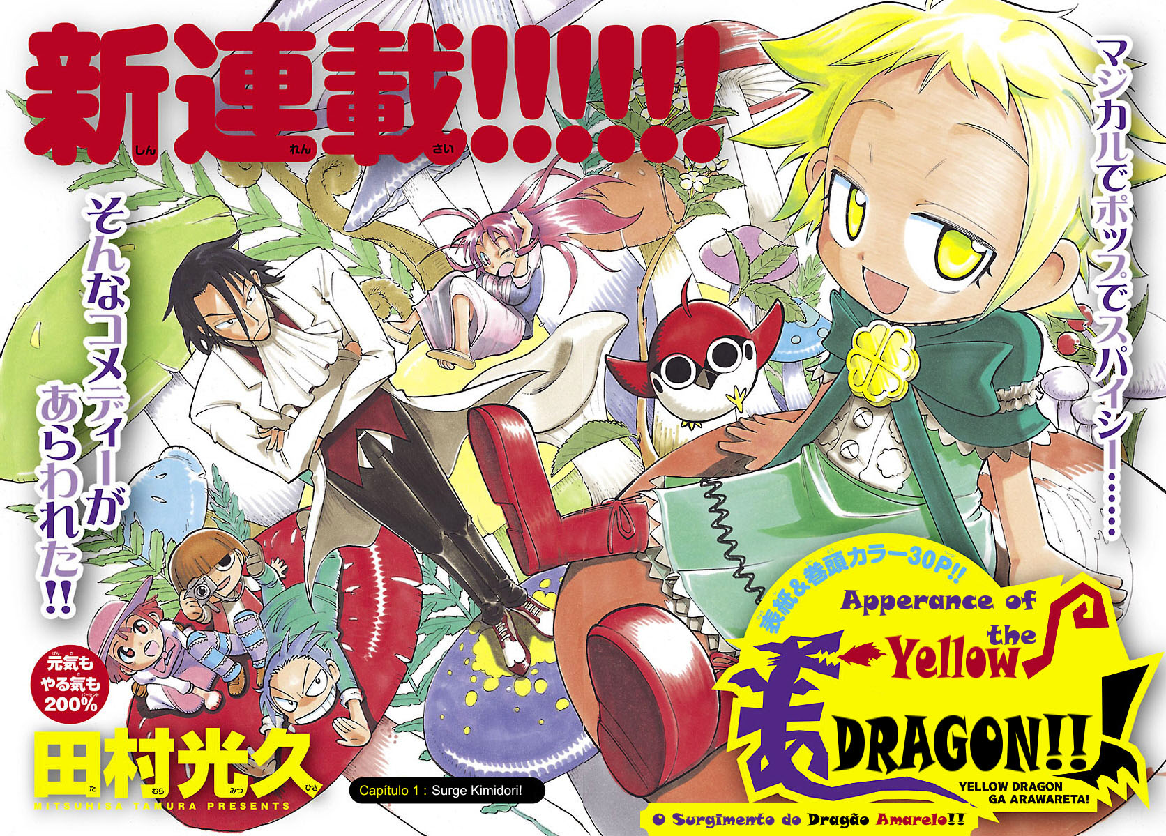 Appearance of the Yellow Dragon! Surge Kimidori! 第3页