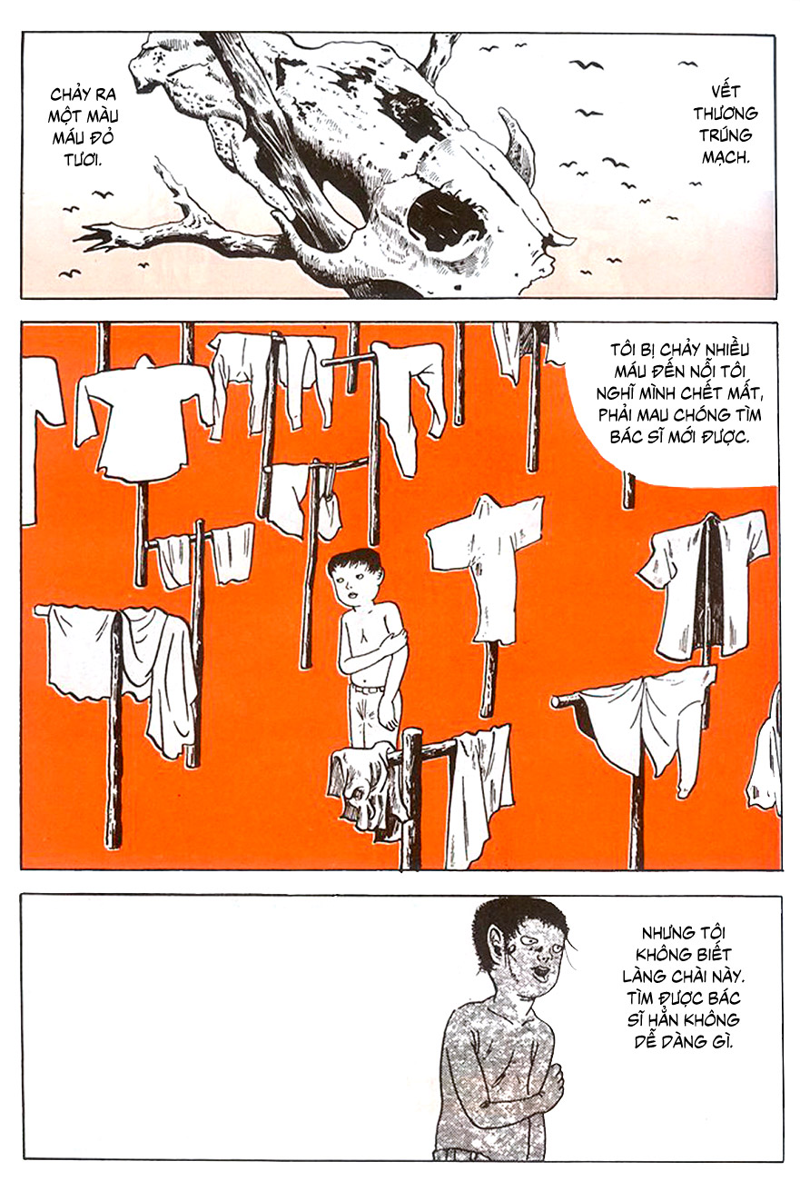 Screw-Style Dạng Vít 第4页