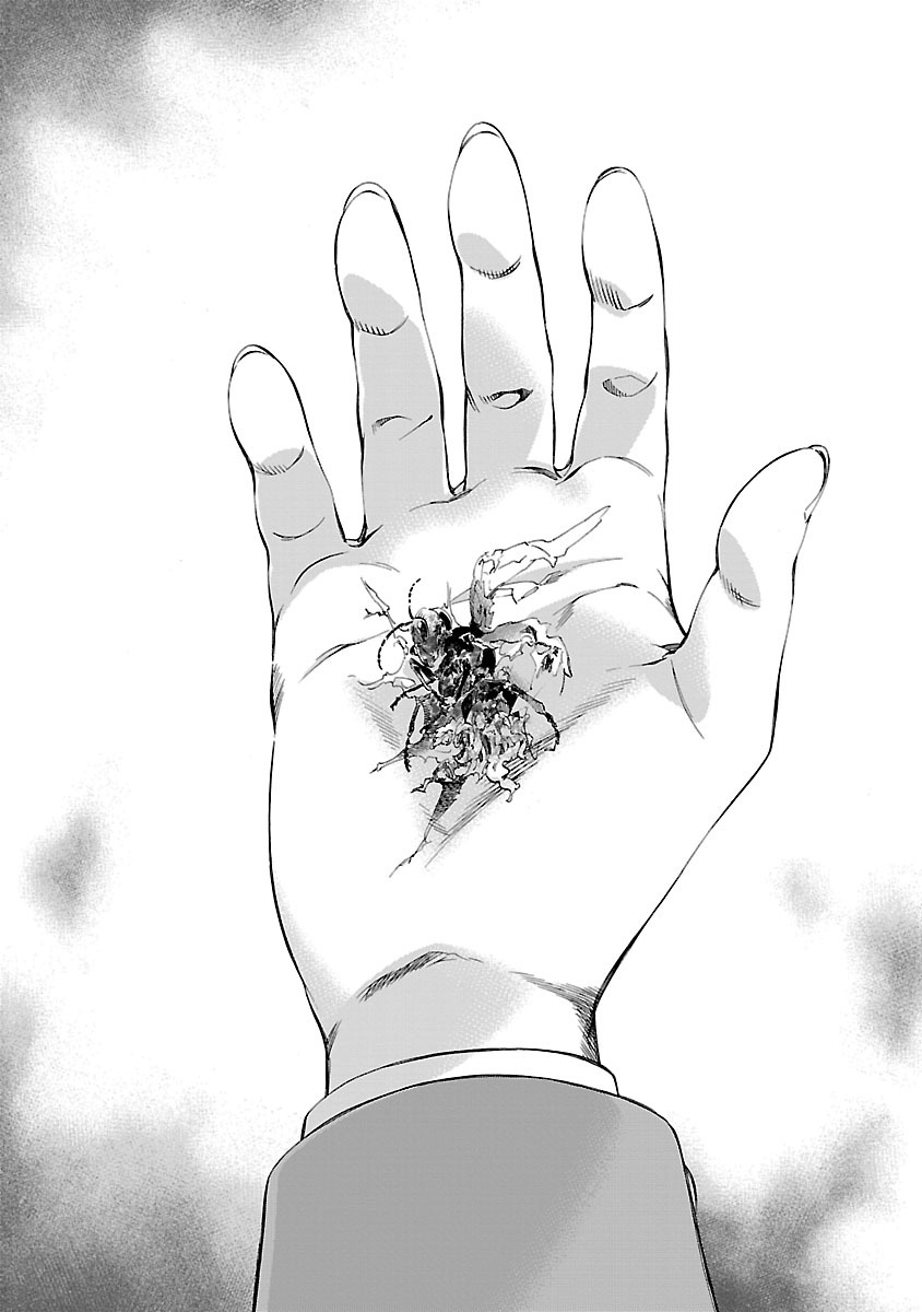 Himenospia Dard 第13页