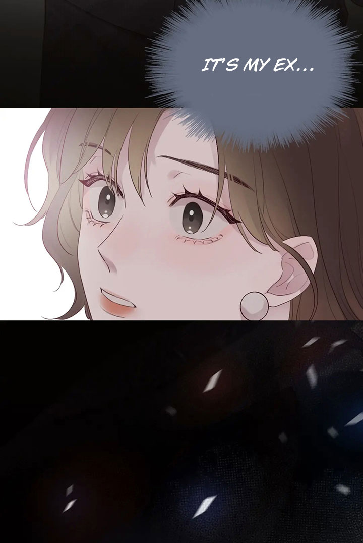 Secret Love: Night Affair The Secret Love (Prologue) 第13页