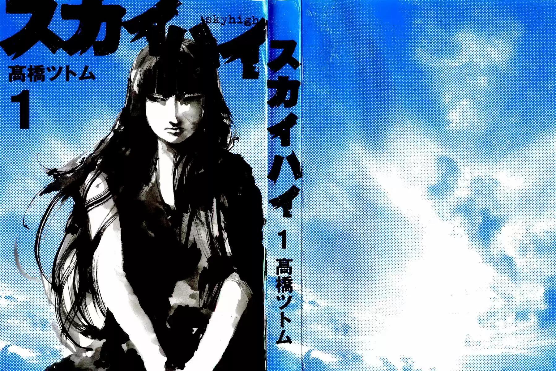 Skyhigh Ganho 第2页