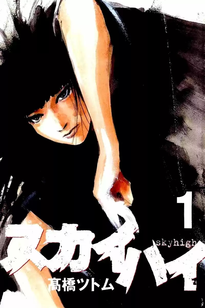Skyhigh Ganho 第4页