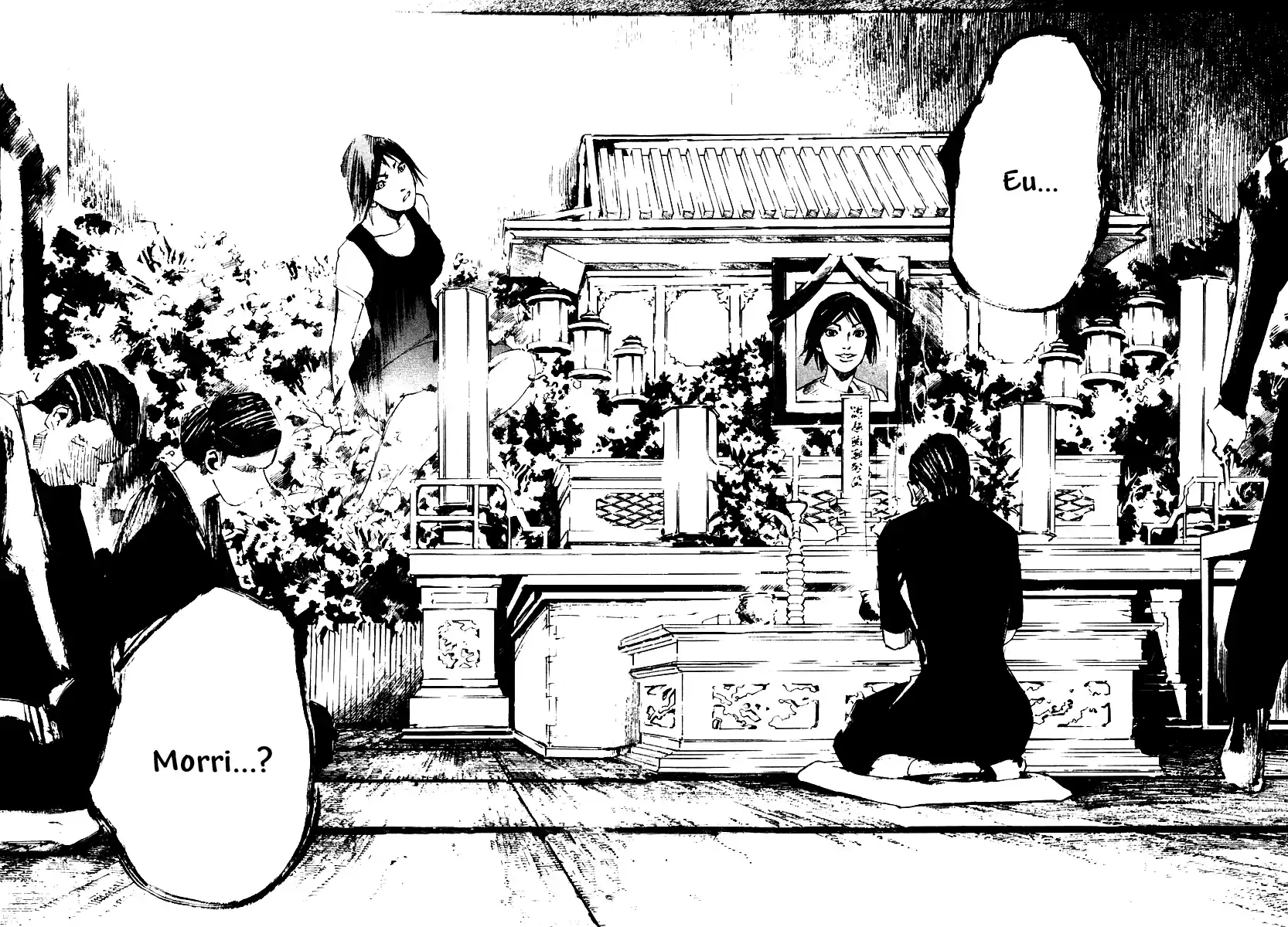 Skyhigh Ganho 第10页
