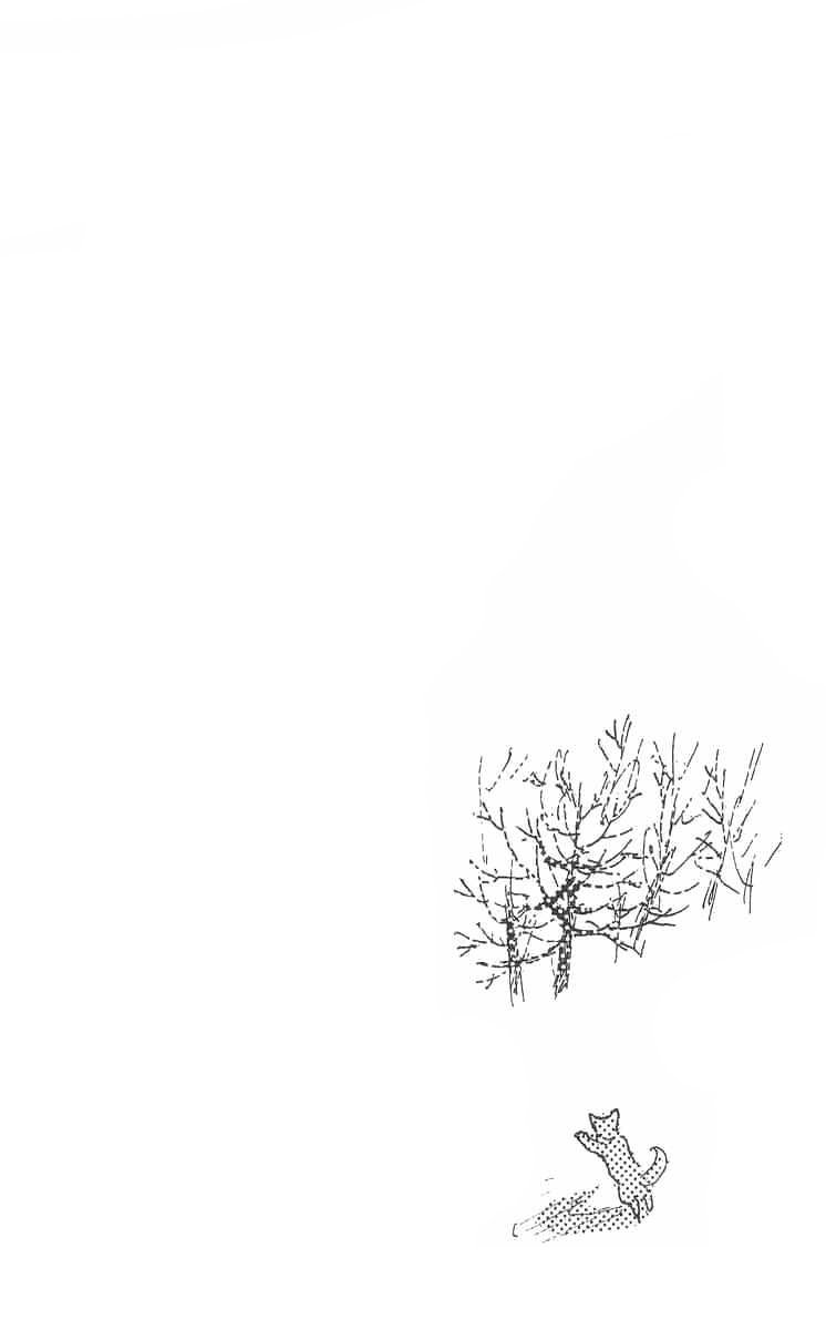 I Want To Keep Gazing At You Vol. 1 Ch. 3 第4页