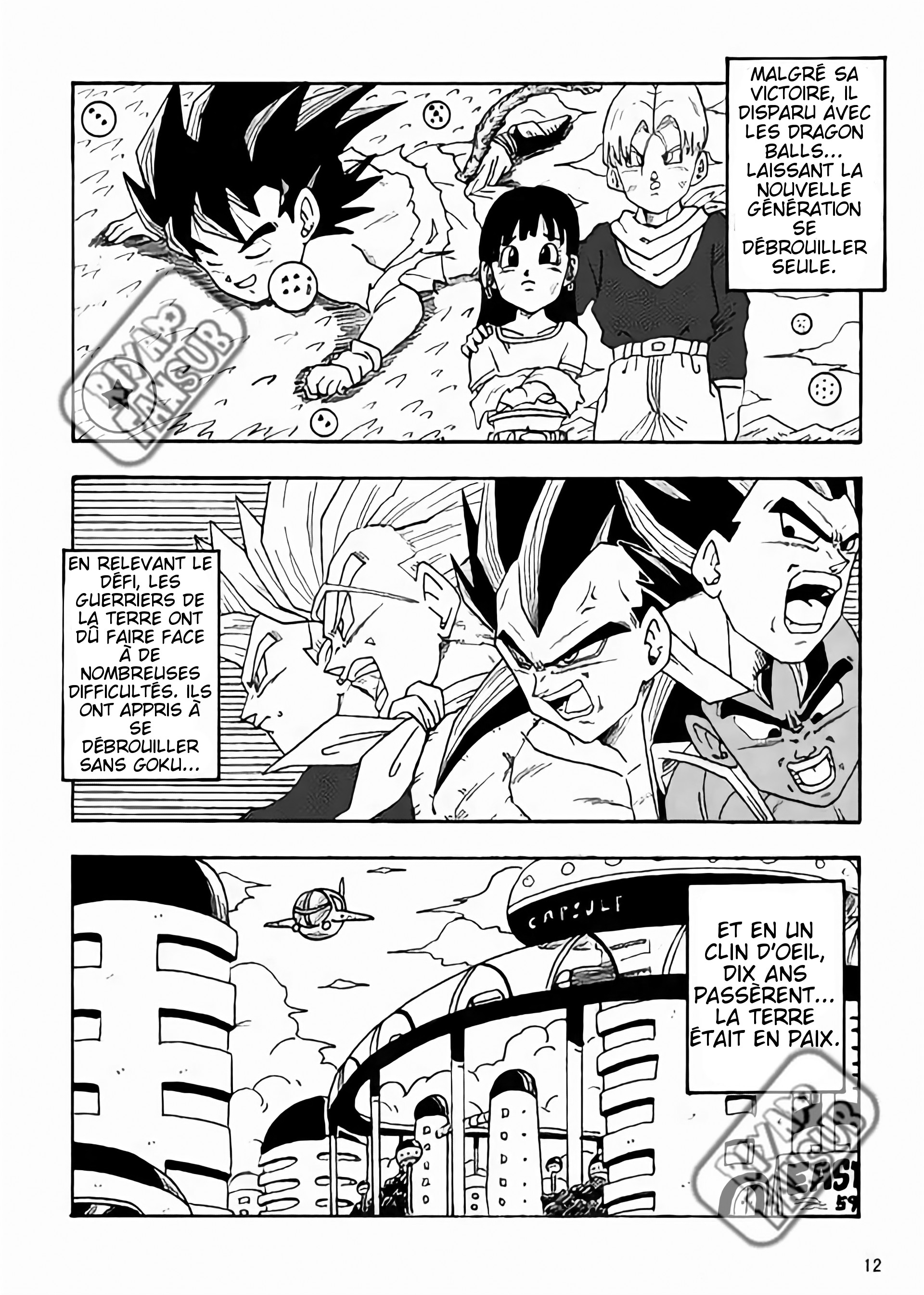 Dragon Ball LE (Doujinshi) Le monde après 10 ans 第13页