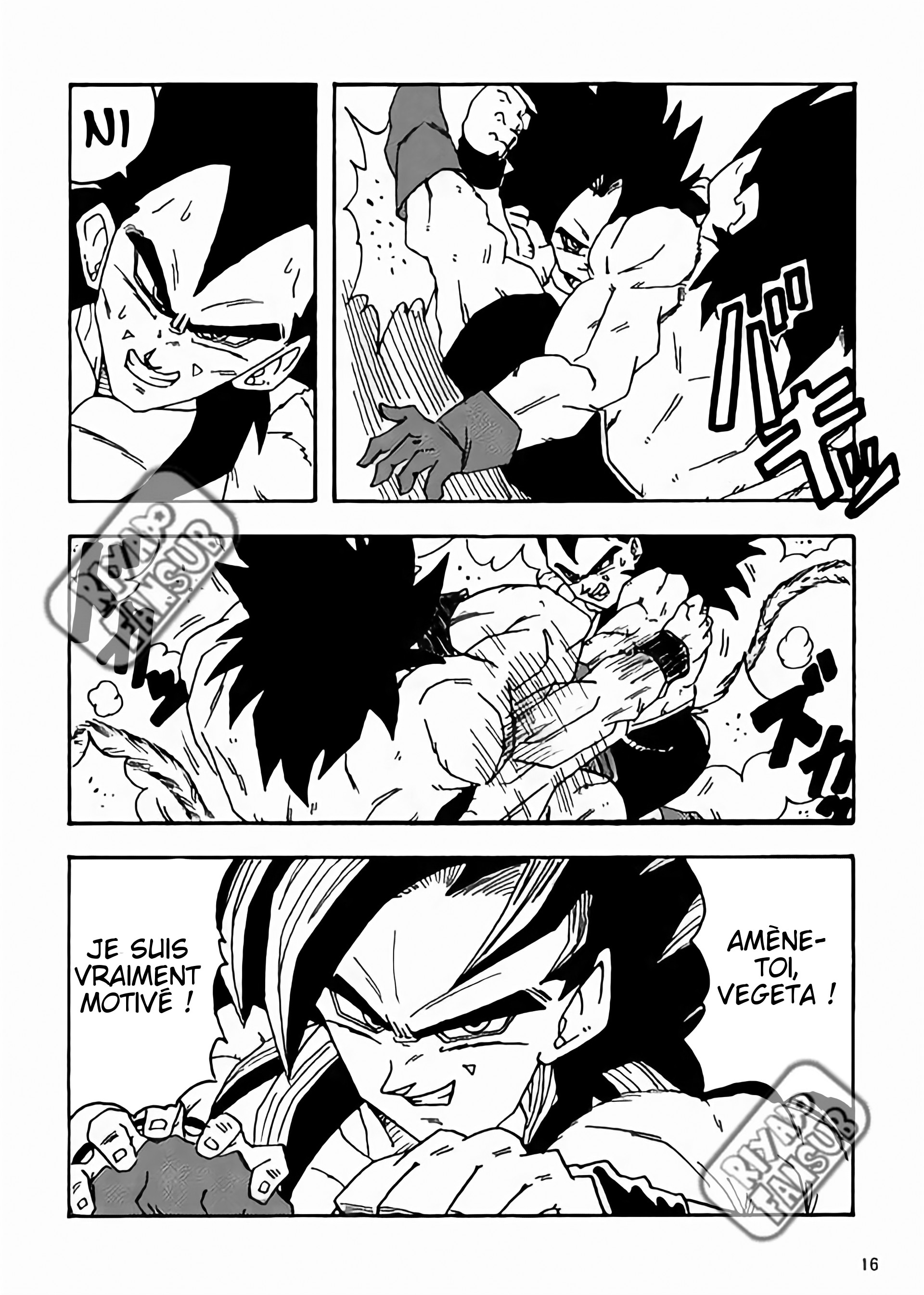 Dragon Ball LE (Doujinshi) Le monde après 10 ans 第17页