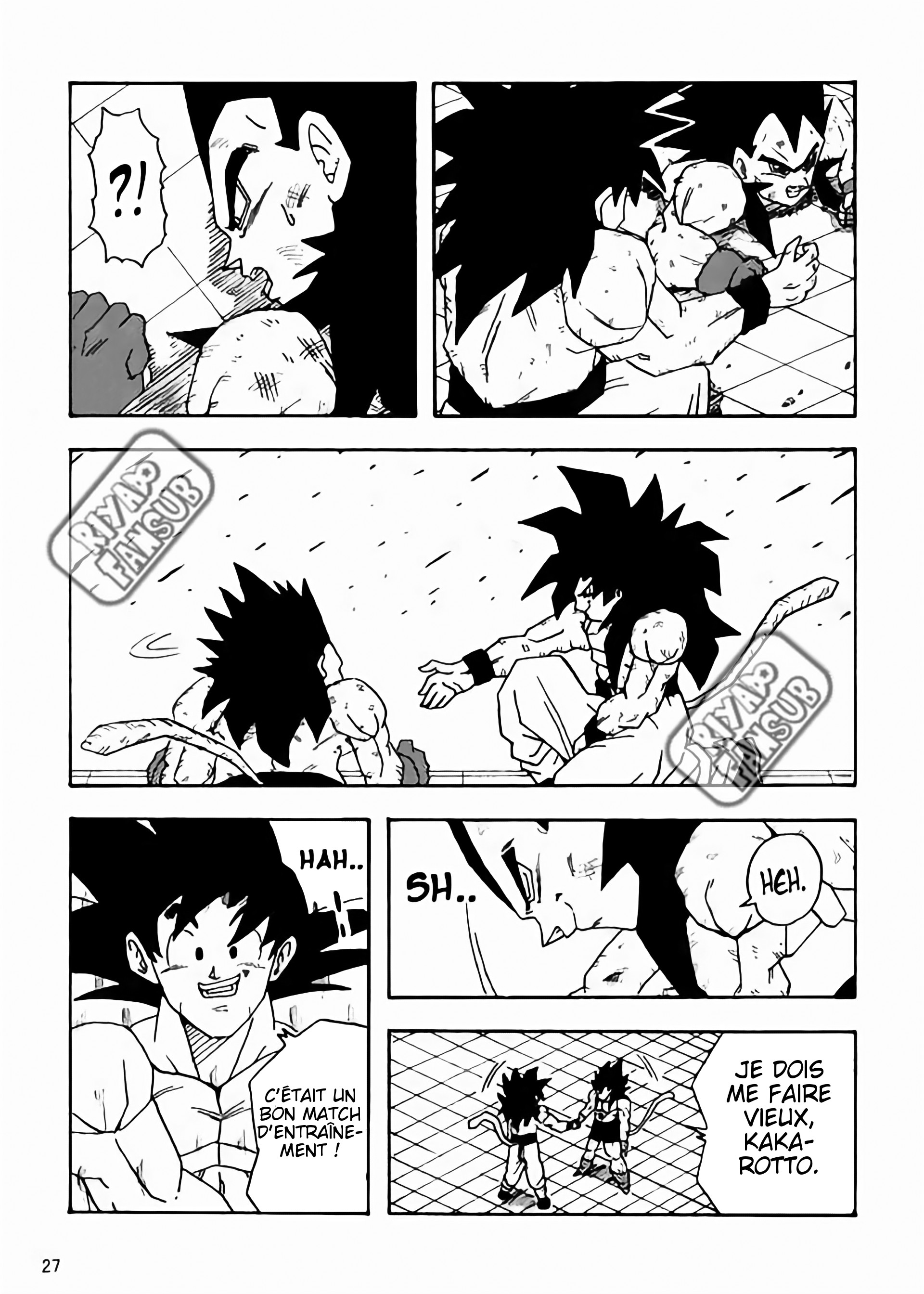 Dragon Ball LE (Doujinshi) Le monde après 10 ans 第28页