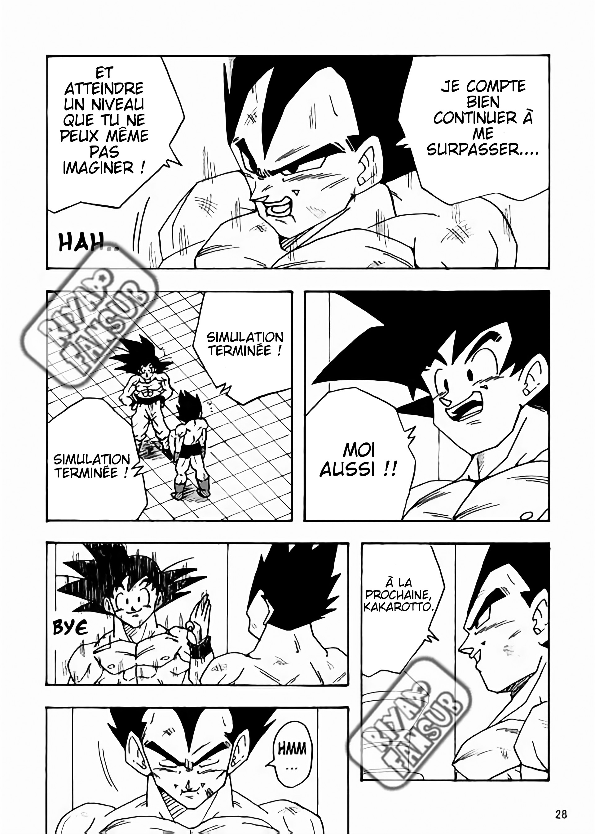 Dragon Ball LE (Doujinshi) Le monde après 10 ans 第29页
