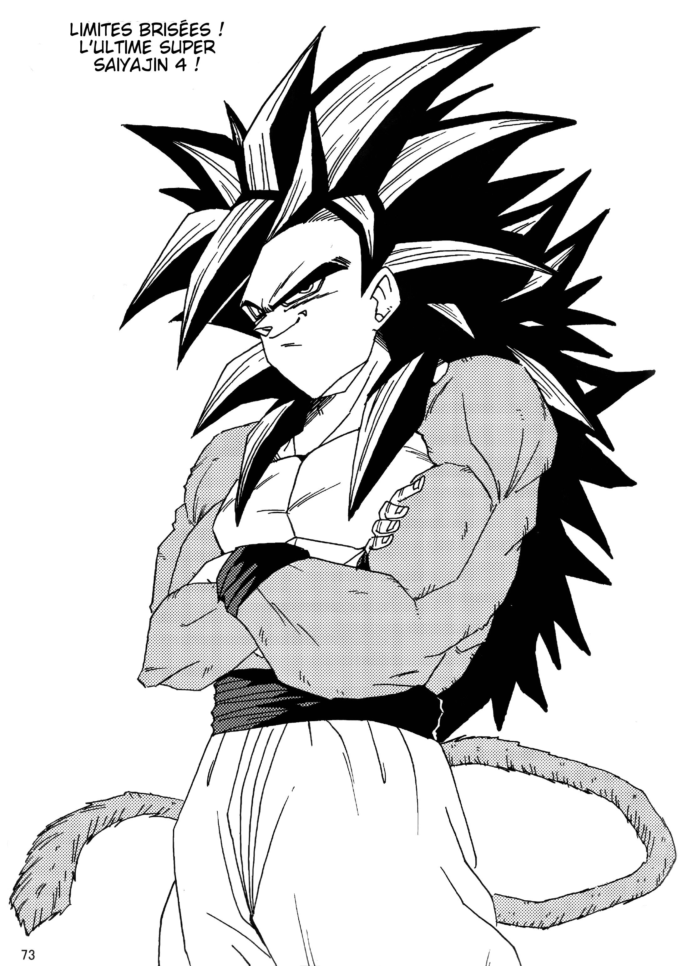Dragon Ball LE (Doujinshi) Le monde après 10 ans 第74页