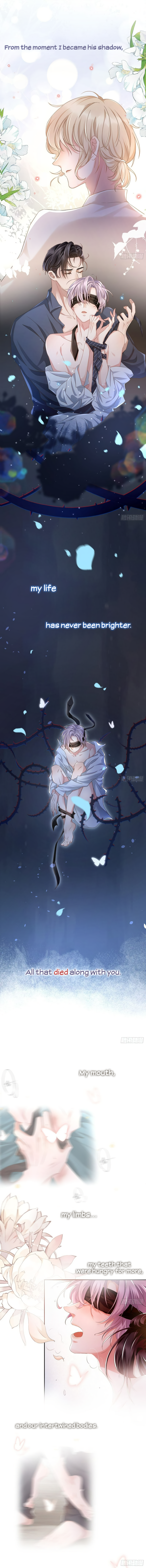 Borrowed Hearts 第1页