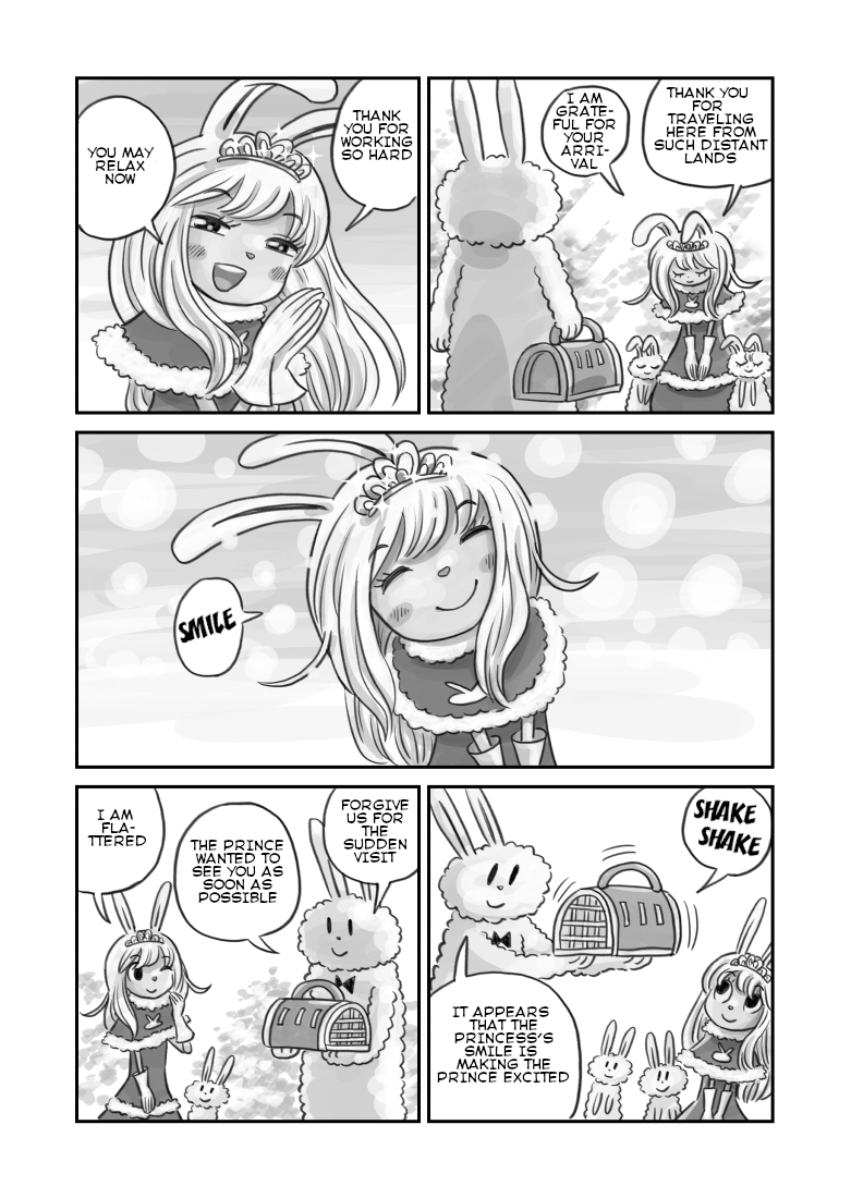 Usagi no Princess Vol. 1 Ch. 3 第5页