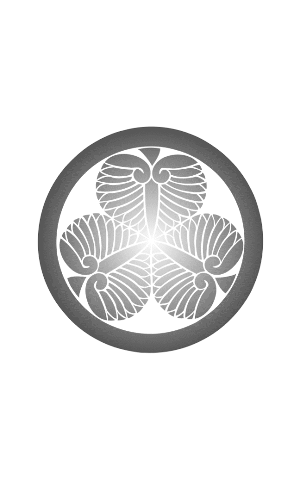 Shadow Warrior: Tokugawa Ieyasu 第3页