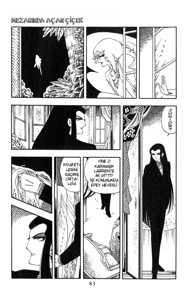 Patalliro! Mezarında Açan Çiçek 第48页