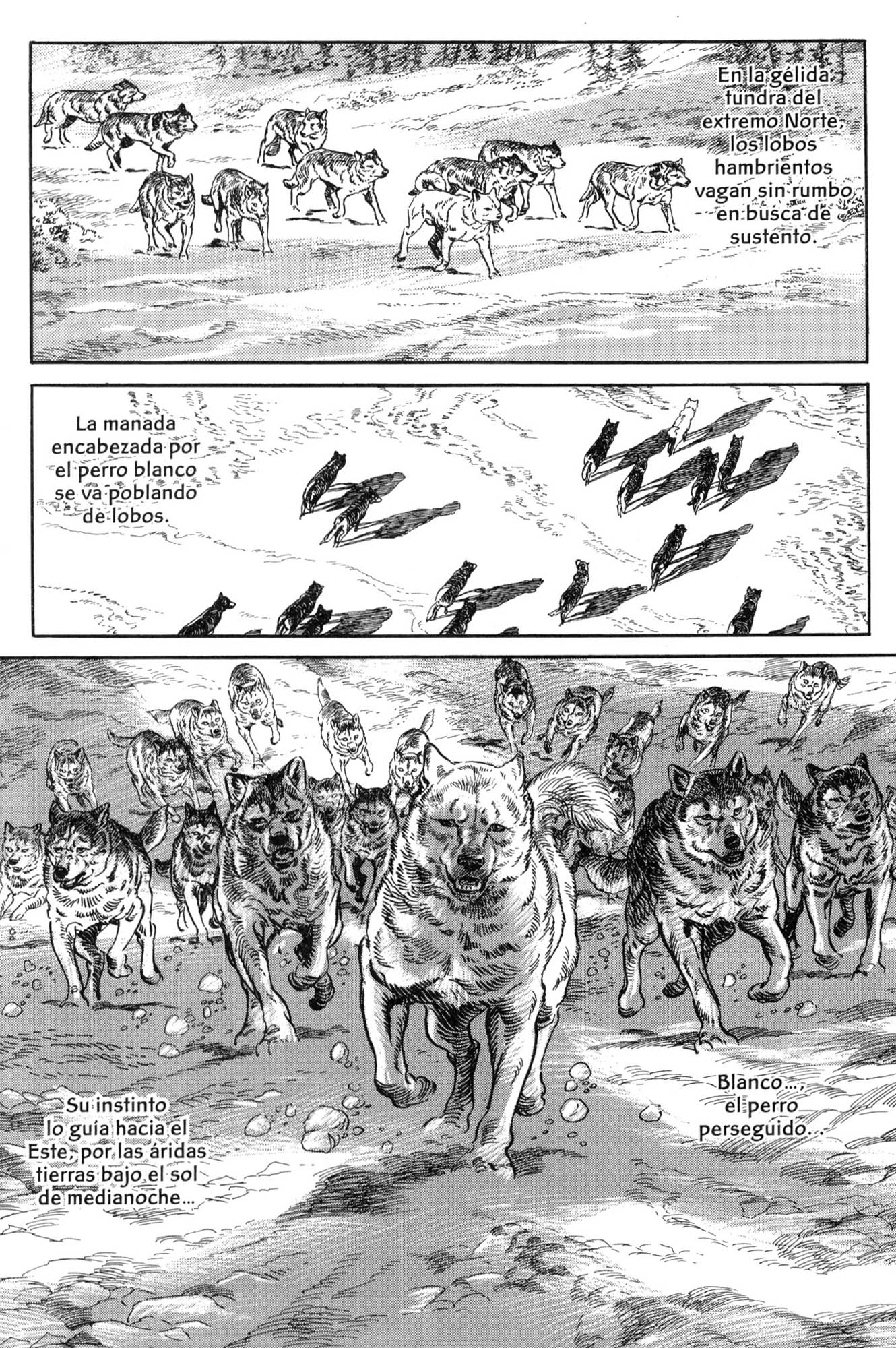 Blanca El perro de la tundra 第28页