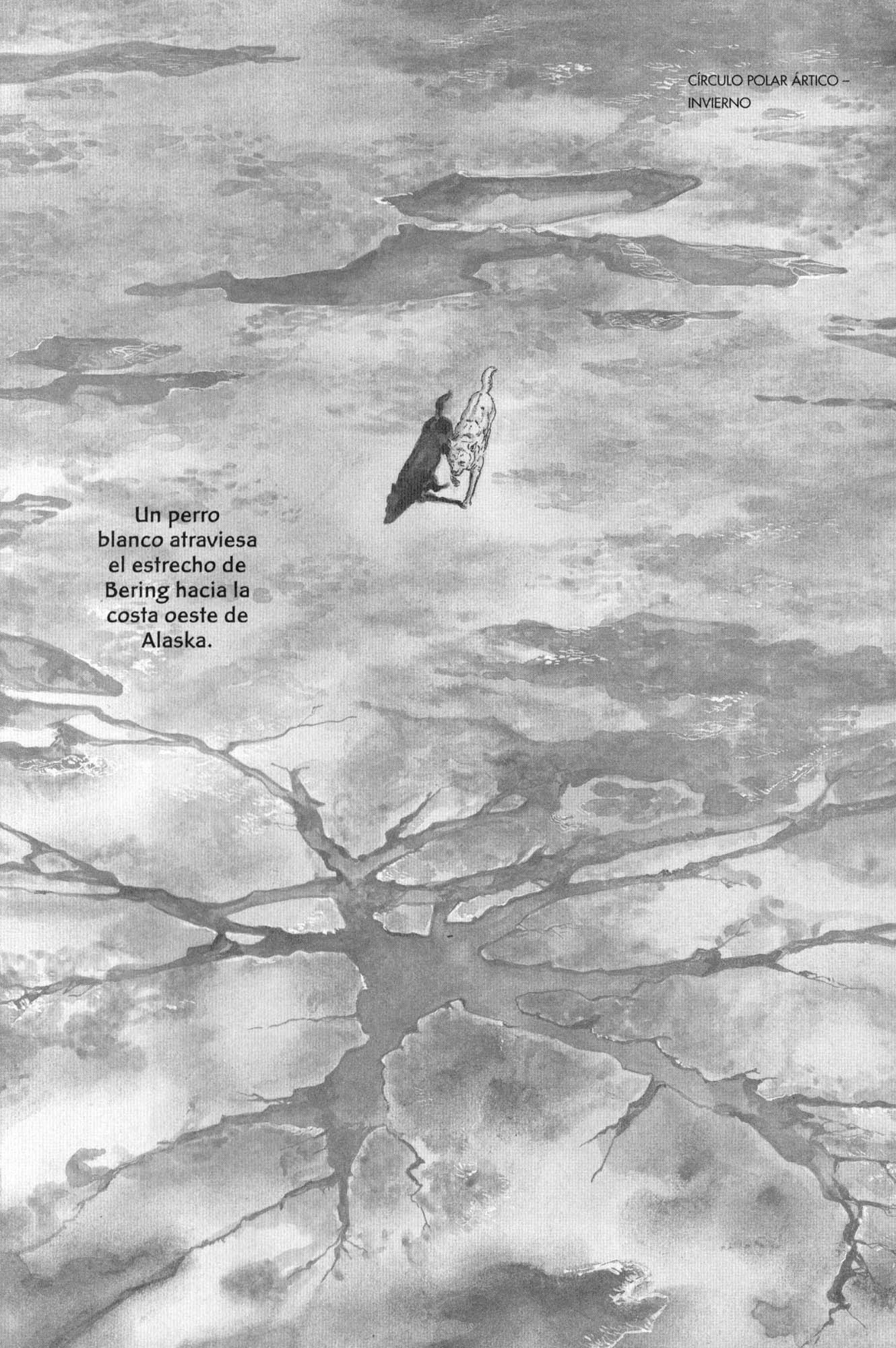 Blanca El perro de la tundra 第6页