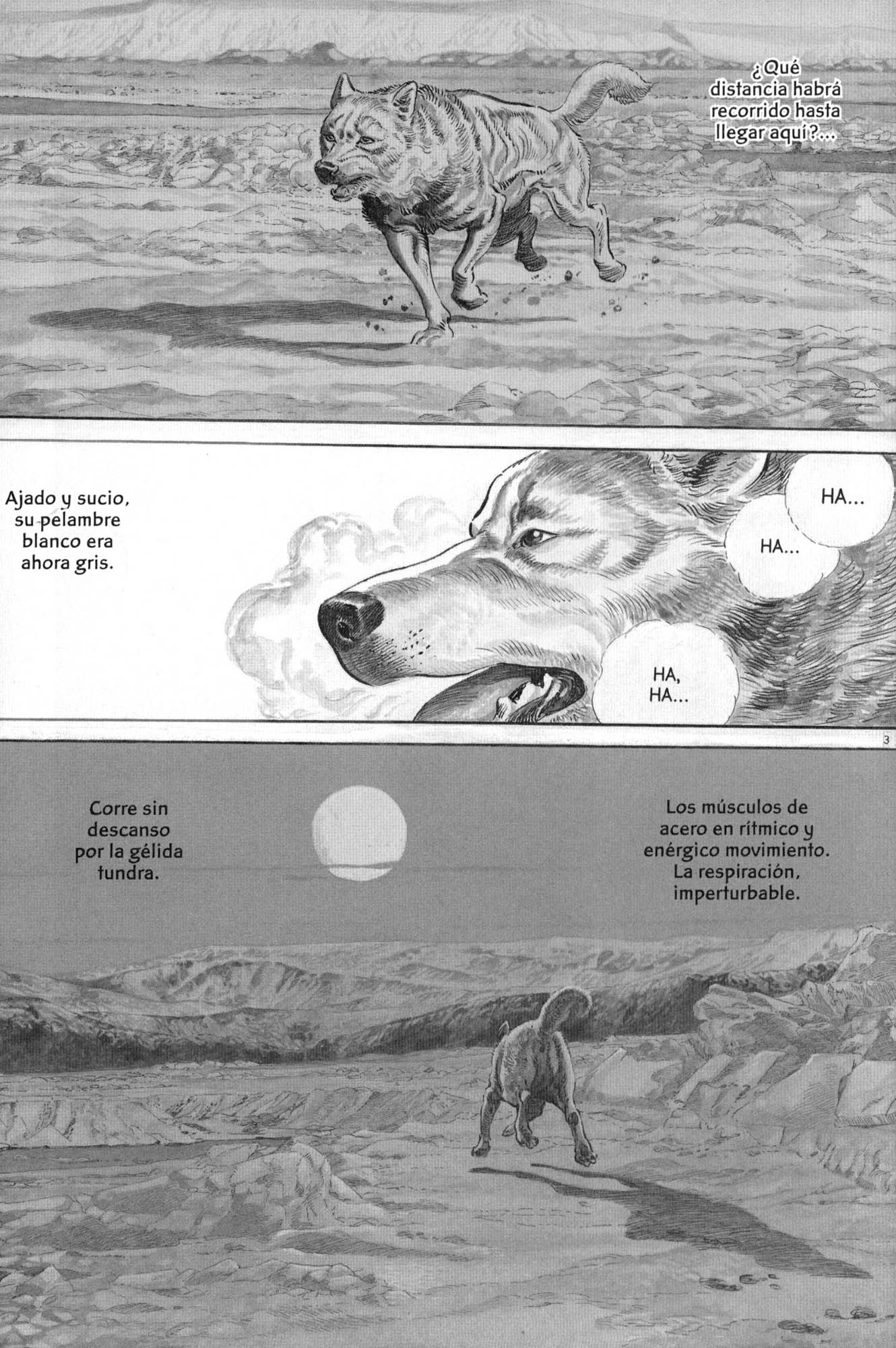 Blanca El perro de la tundra 第7页