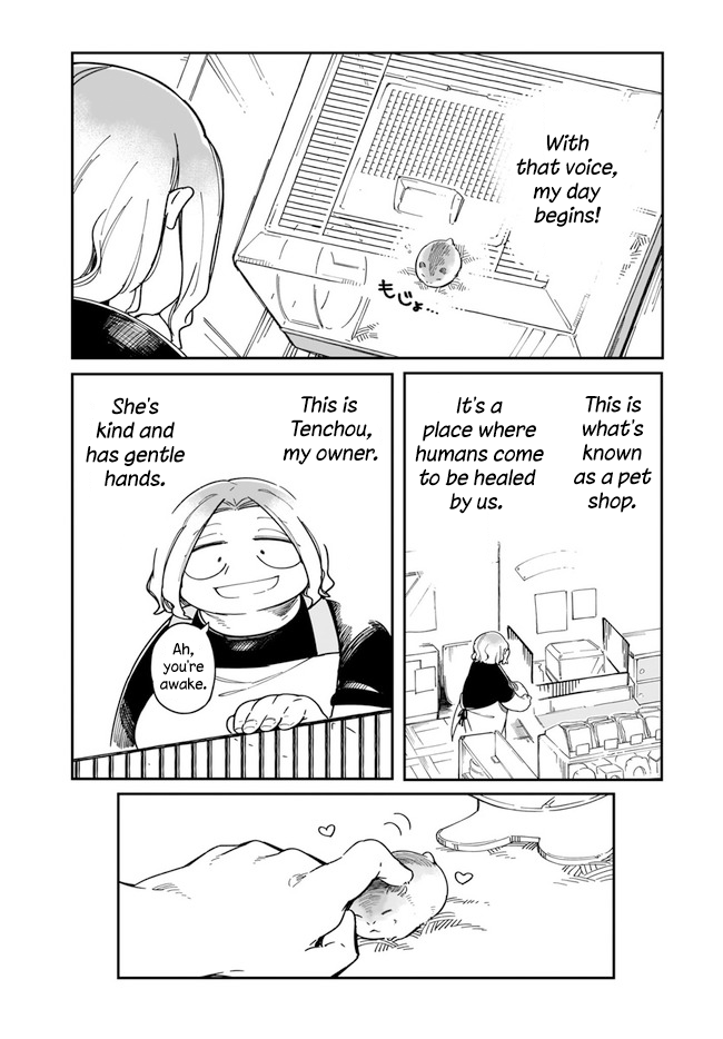 Ms. Kuzuryu's favorite is small Kuzu-san 第2页