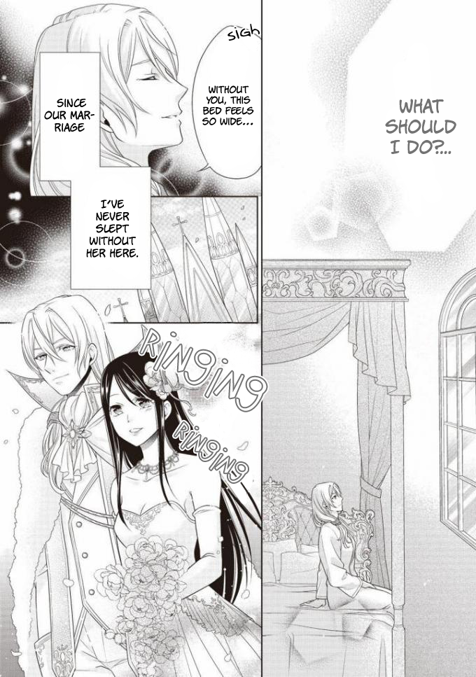 Ouhi-sama wa Toubouchuu Vol. 1 Ch. 2 第9页