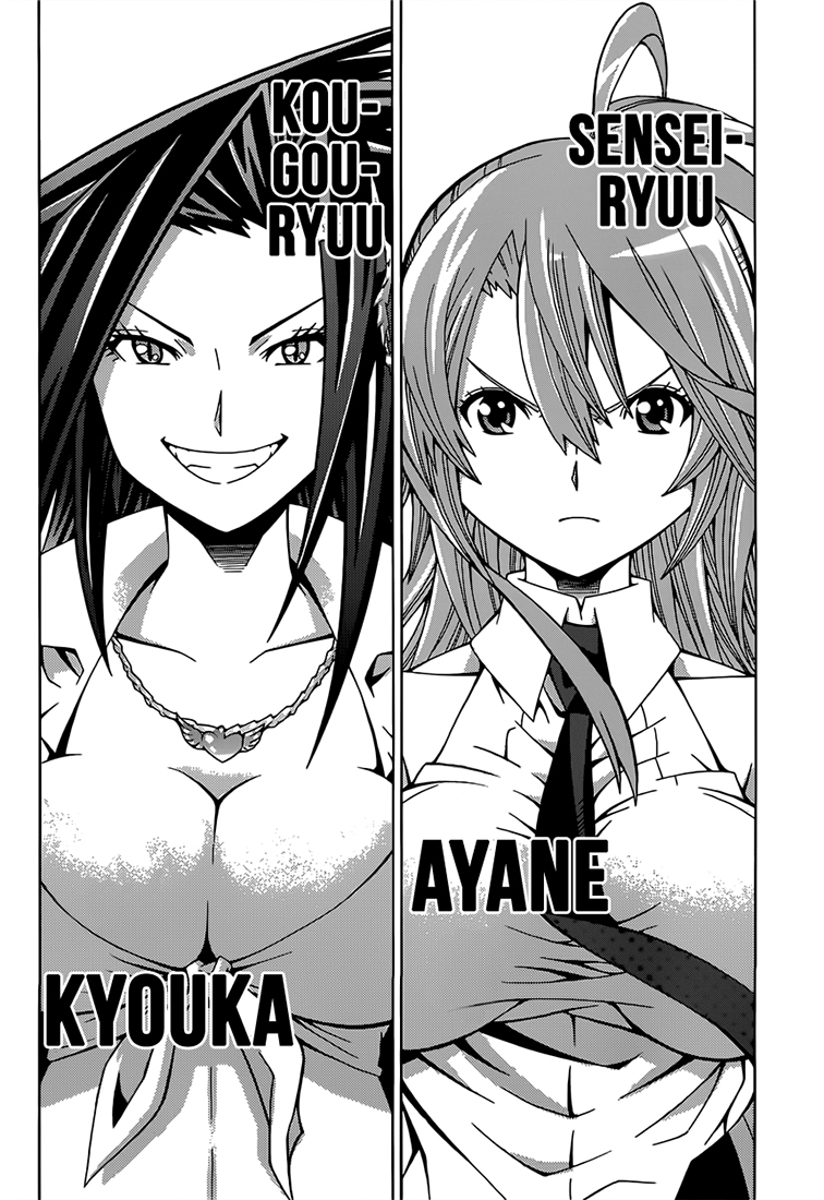 Dragons Rioting Un invité spécial venu du ciel 第37页