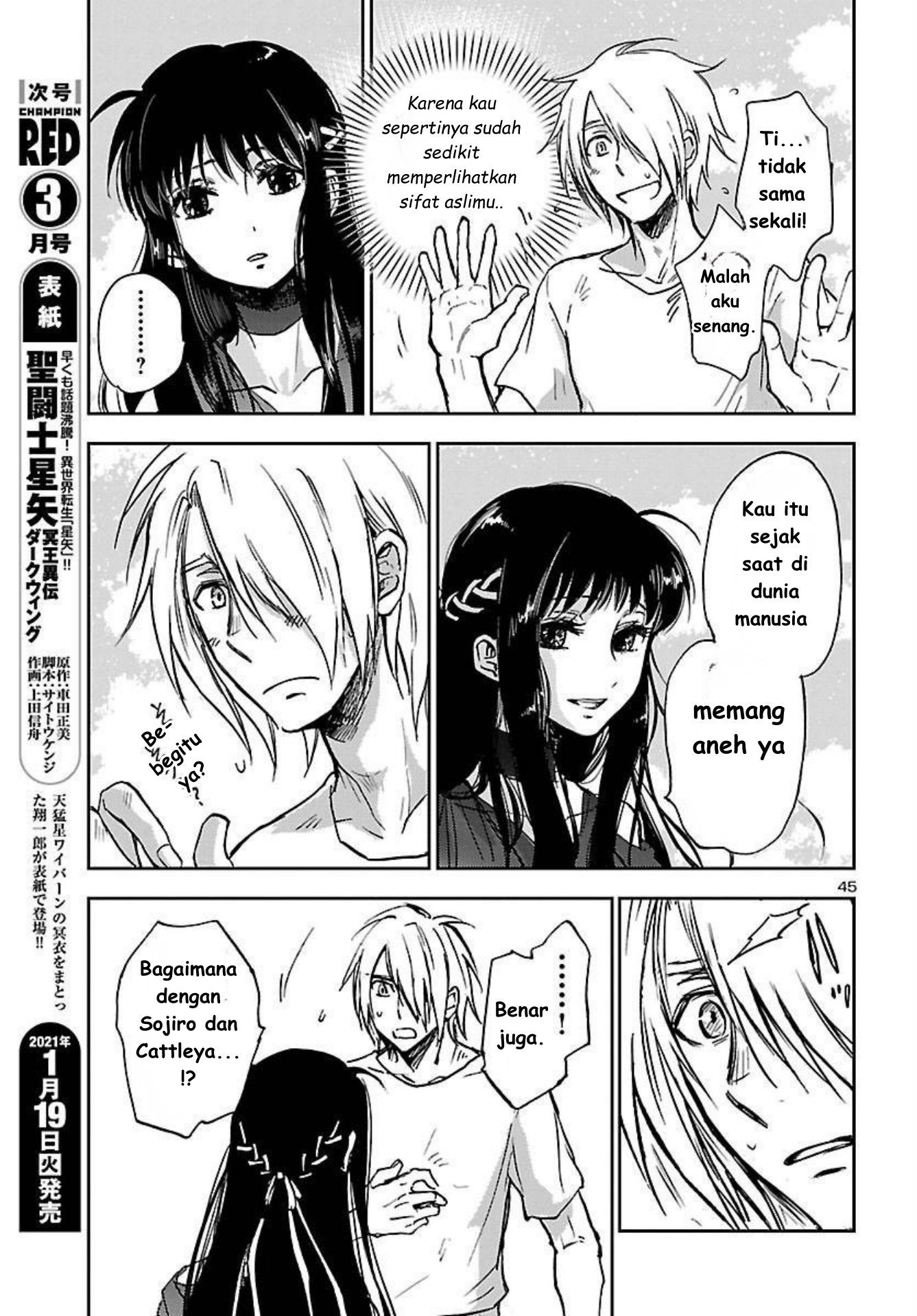 Saint Seiya: Another Story of Hades - Dark Wing Pemuda dengan Sayap Hitam 第46页