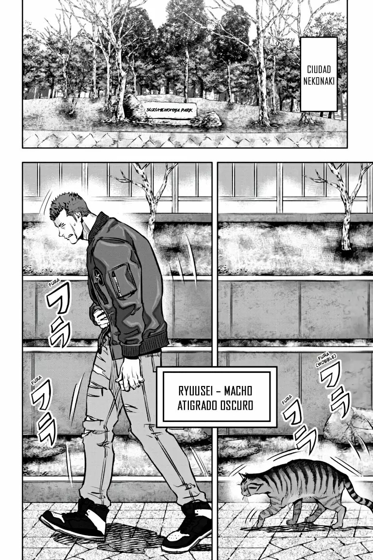 Nyankees Vol. 1 Ch. 1 第11页