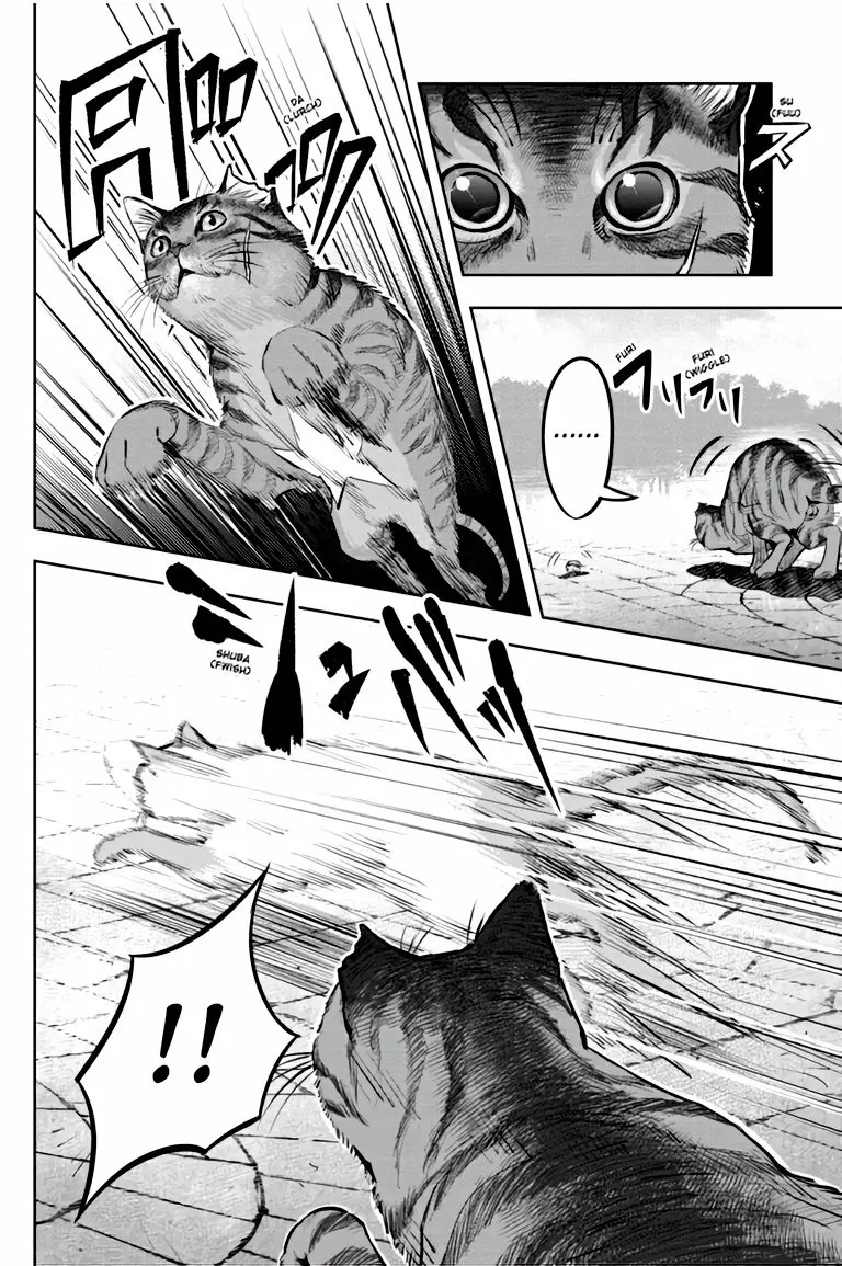 Nyankees Vol. 1 Ch. 1 第13页