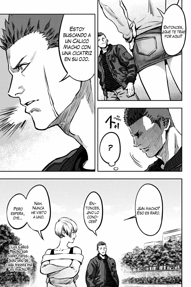 Nyankees Vol. 1 Ch. 1 第18页