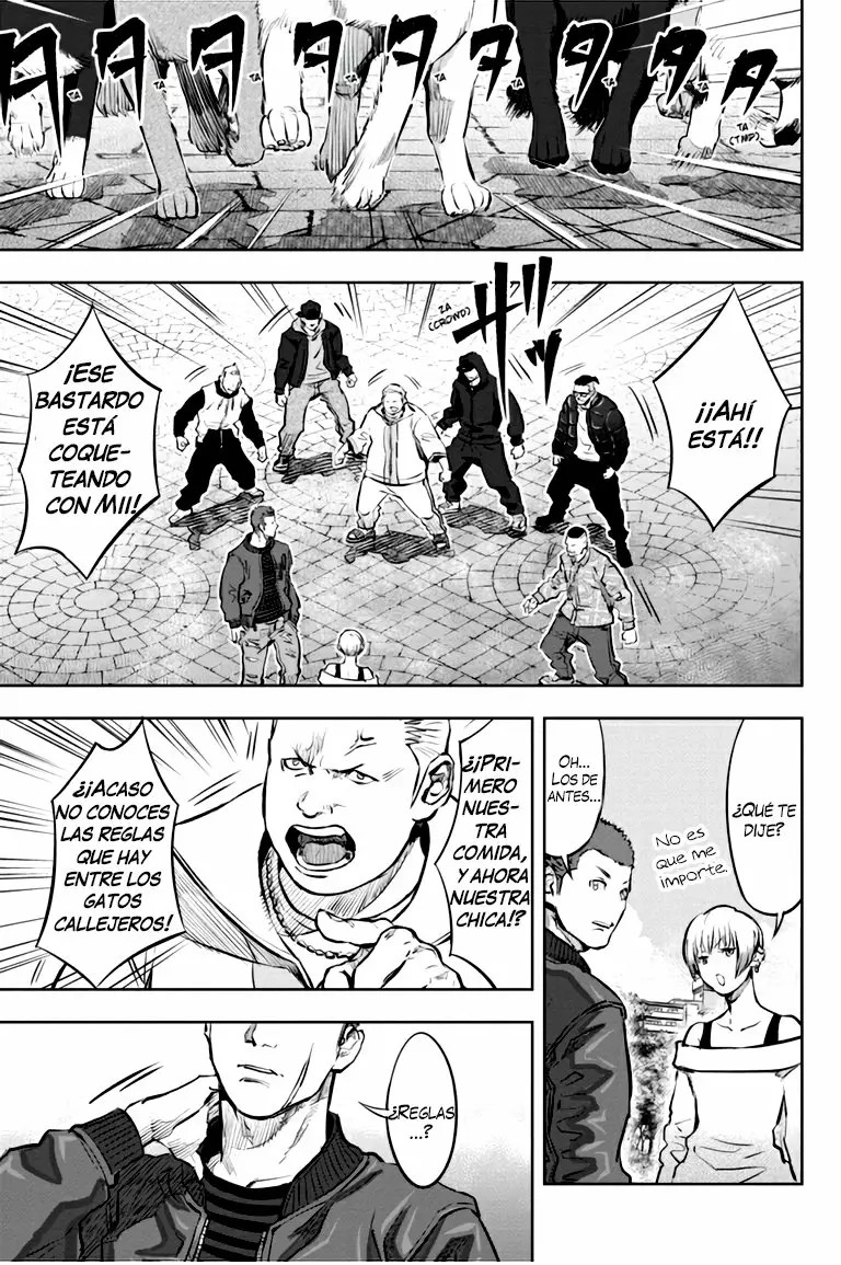 Nyankees Vol. 1 Ch. 1 第20页